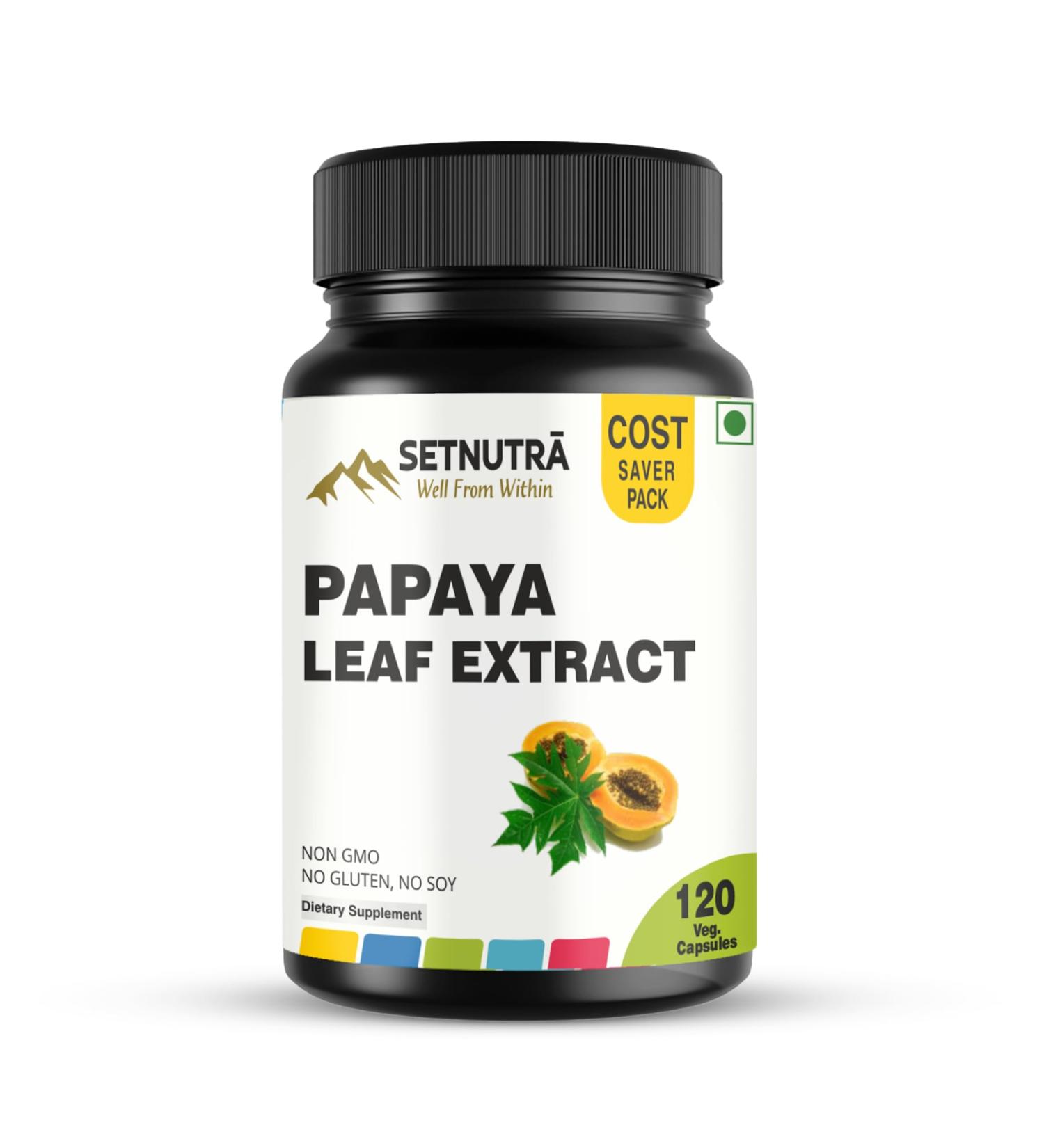 SETNUTRA Well From Within Papaya Leaf Capsules 500Mg Natural Papaya Leaf Extract 120 Vegan Capsules Non GMO Gluten Free Herbal Supplement No Fillers Or Additives - Buy Online on GoSupps.com