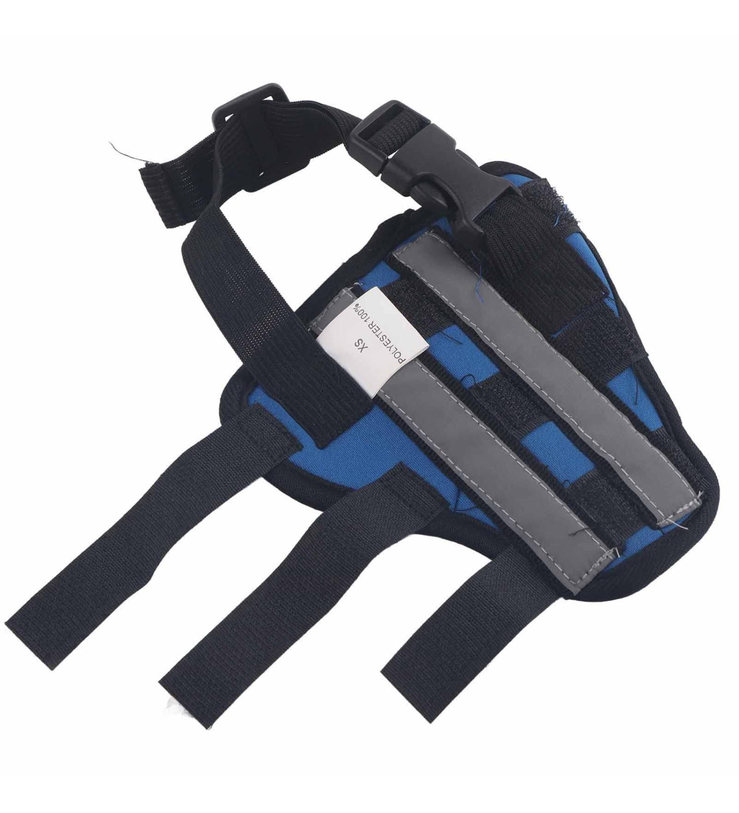 Dog Right Rear Leg Dog Supplies Dog Health and Supplies Hock Brace Dog Hind Leg Brace Prevents Injuries and Provides Stability with Support Strip Reflective Strip Dog XS - Buy Online on GoSupps.com