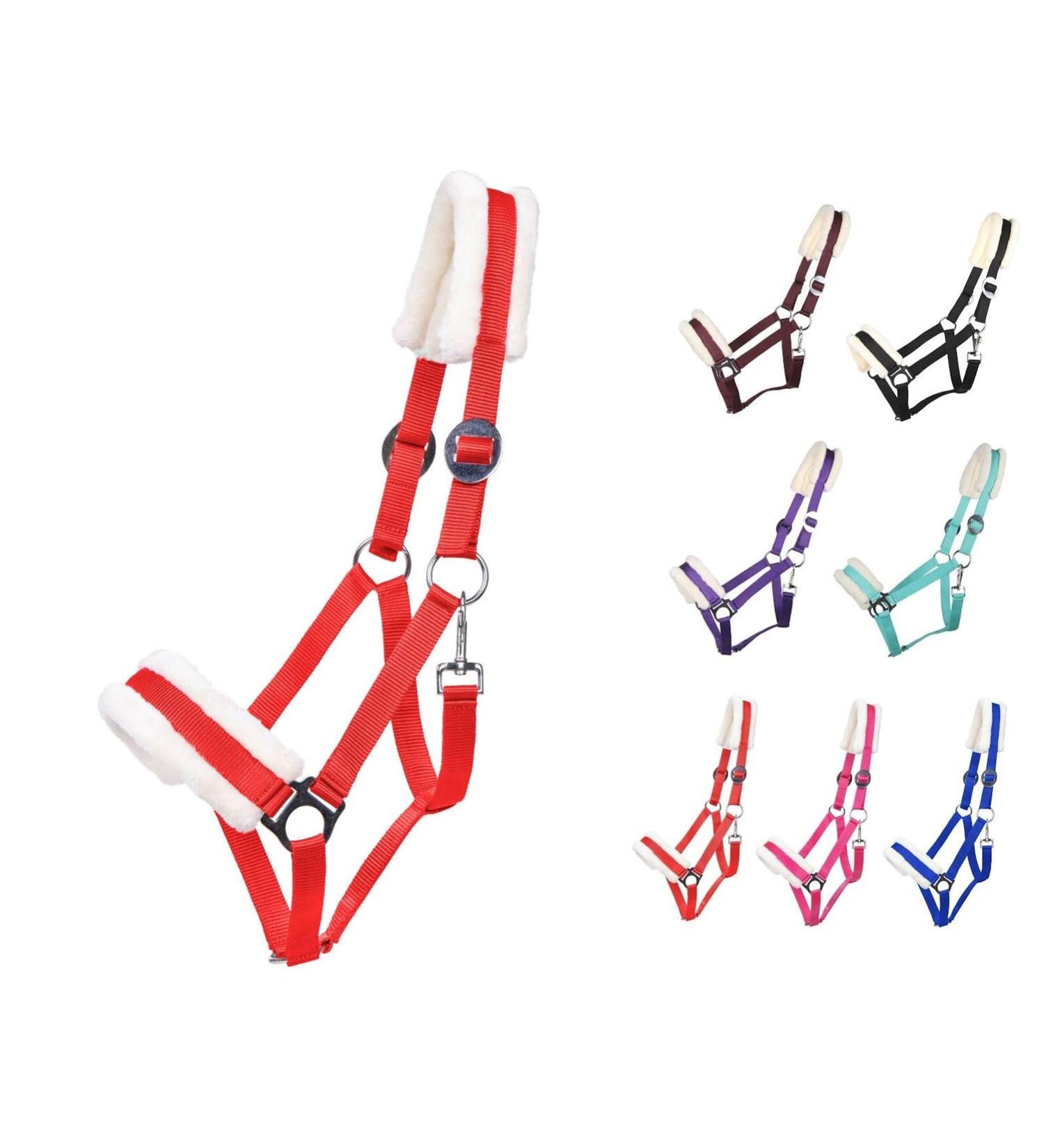 Netproshop Solid Padded Horse Halter - Adjustable Size for Mini Shetty to Full U Cold Blood - Red - Buy Online on GoSupps.com