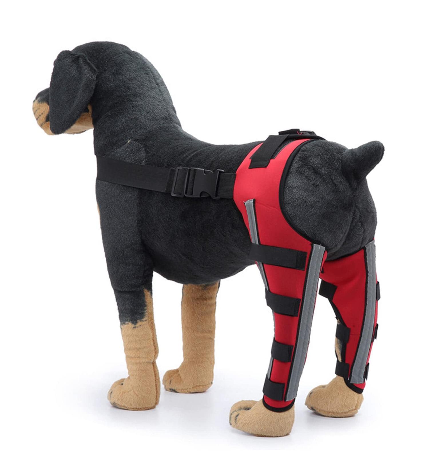 Dog Knee Brace Adjustable Dog Leg Brace Double Rear Leg Brace Elastic Shockproof Dog ACL Brace CCL Brace Hind Leg Pet Knee Pads with Reflective Strips for Pets and Dogs (S) Small - Buy Online on GoSupps.com