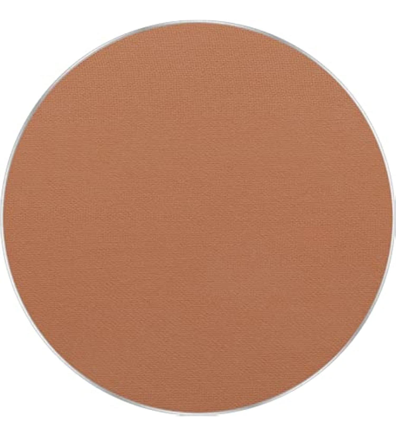 Freedom System Perfect Finish pressed powder 14