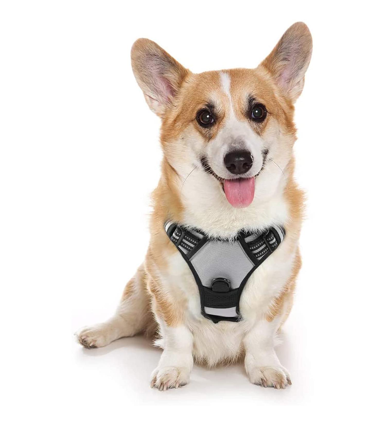 Rabbitgoo Adjustable No-Pull Dog Harness for Medium Dogs - Breathable Control Vest with Reflective Stripes - Safe Gray Harness for Large Dogs - 1 Pack - Buy Online on GoSupps.com
