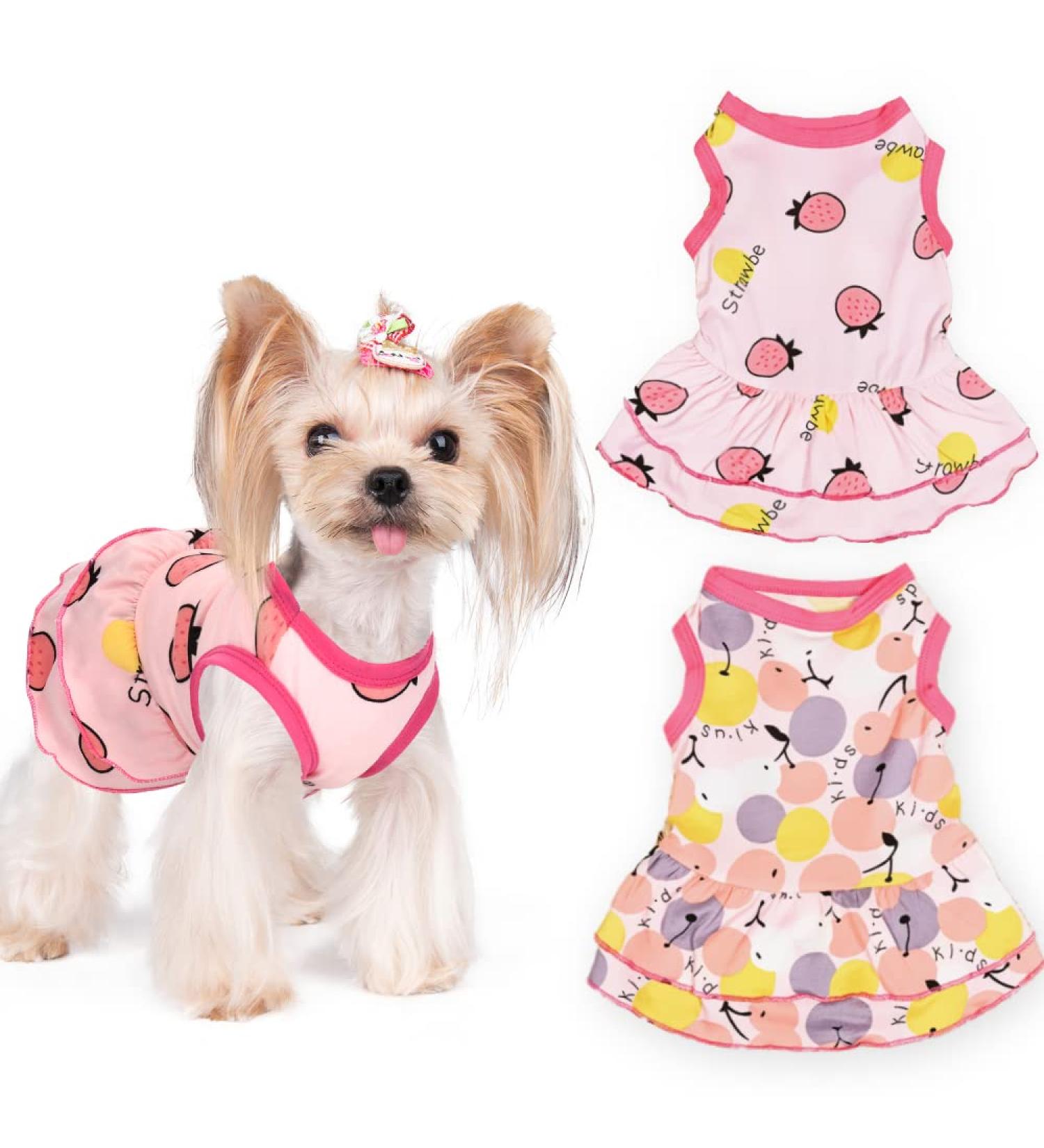 Yikeyo Small Dog Girl Dress Fruit Pattern Tutu Skirt Summer Clothes for Pet Puppy Cat Apparel 2 Pieces (Large(8.8lb-14.3lb)  Strawberry + Pear) Large(8.8lb-14.3lb) Strawberry + Pear - Buy Online on GoSupps.com