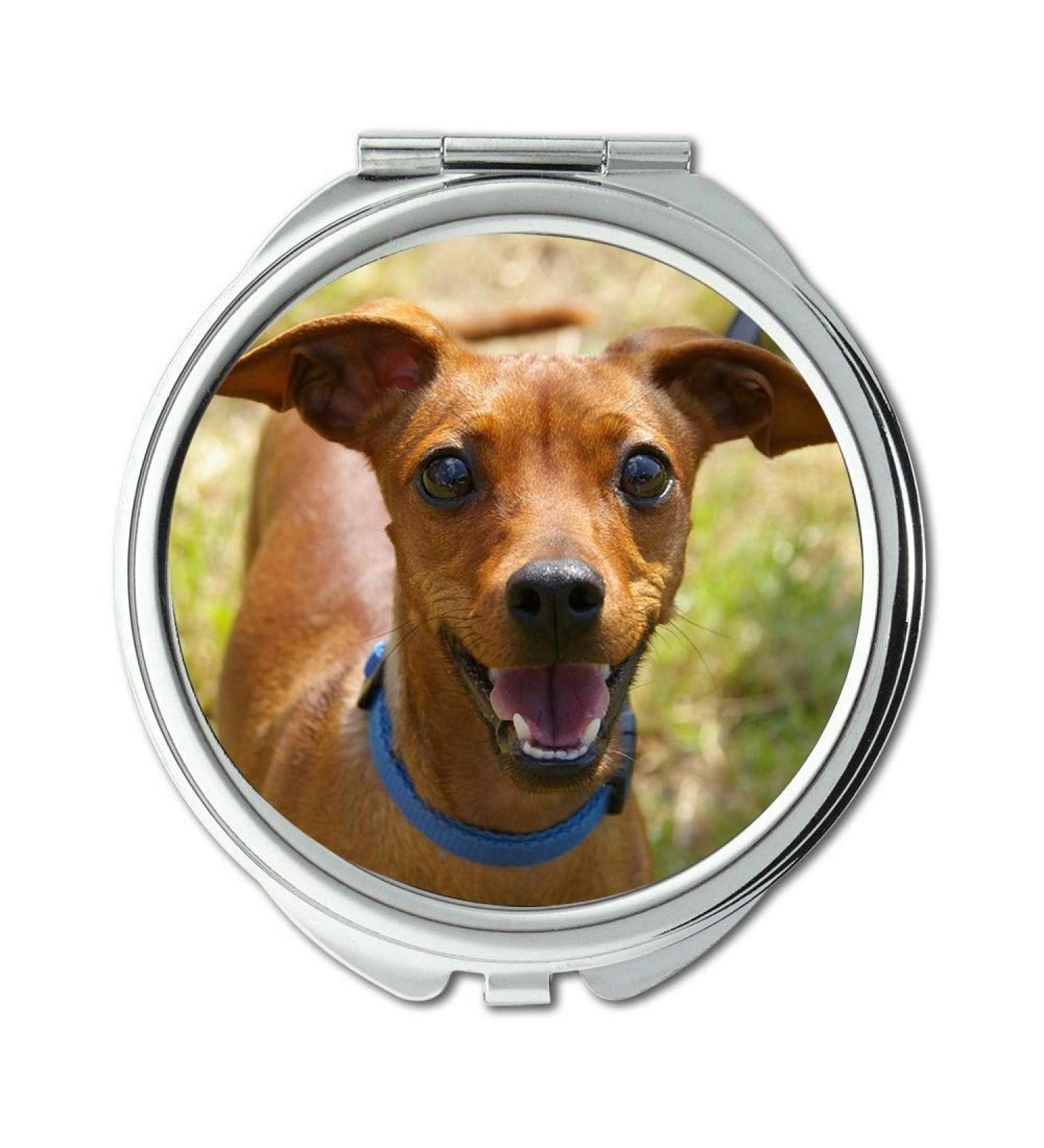 Mirror makeup mirror Animal Portrait Dog Curious Awakened pocket mirror portable mirror - Buy Online on GoSupps.com