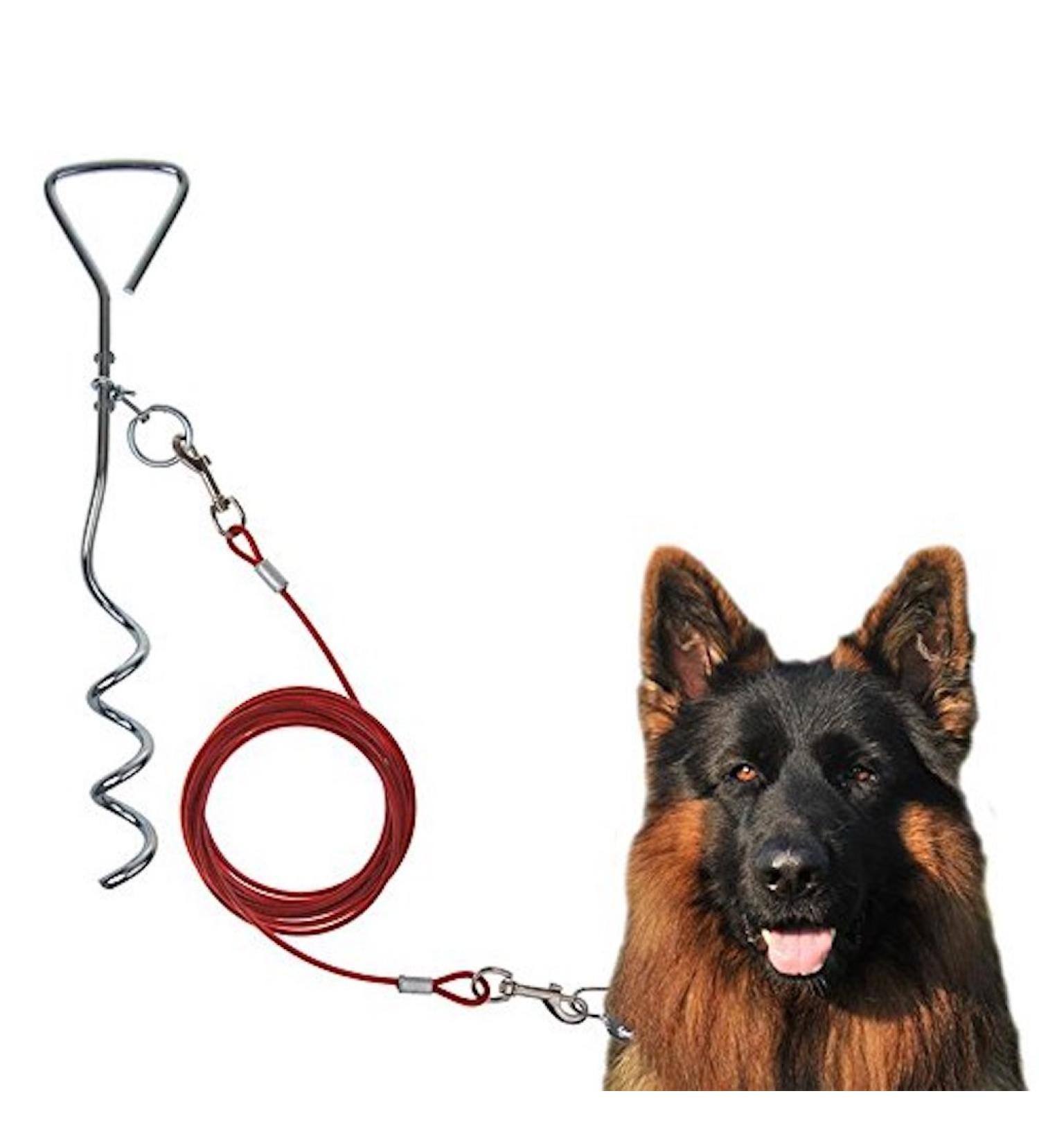 Timtina spiral peg dog peg dog anchor including dog leash