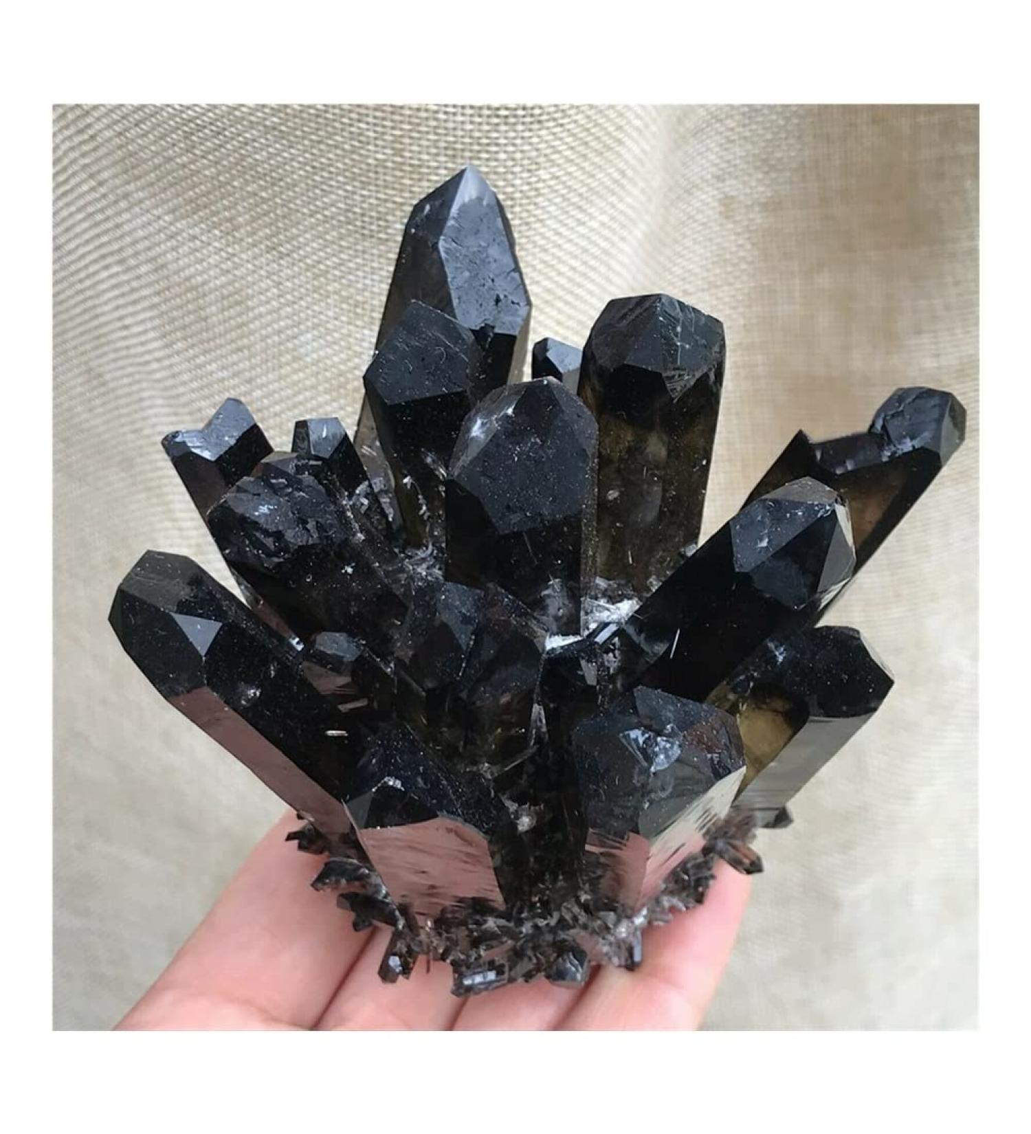 Natural Black Smokey Quartz Crystal Cluster Specimen Suitable for Home HOMEZHOU (Size : 800-900g) - Buy Online on GoSupps.com