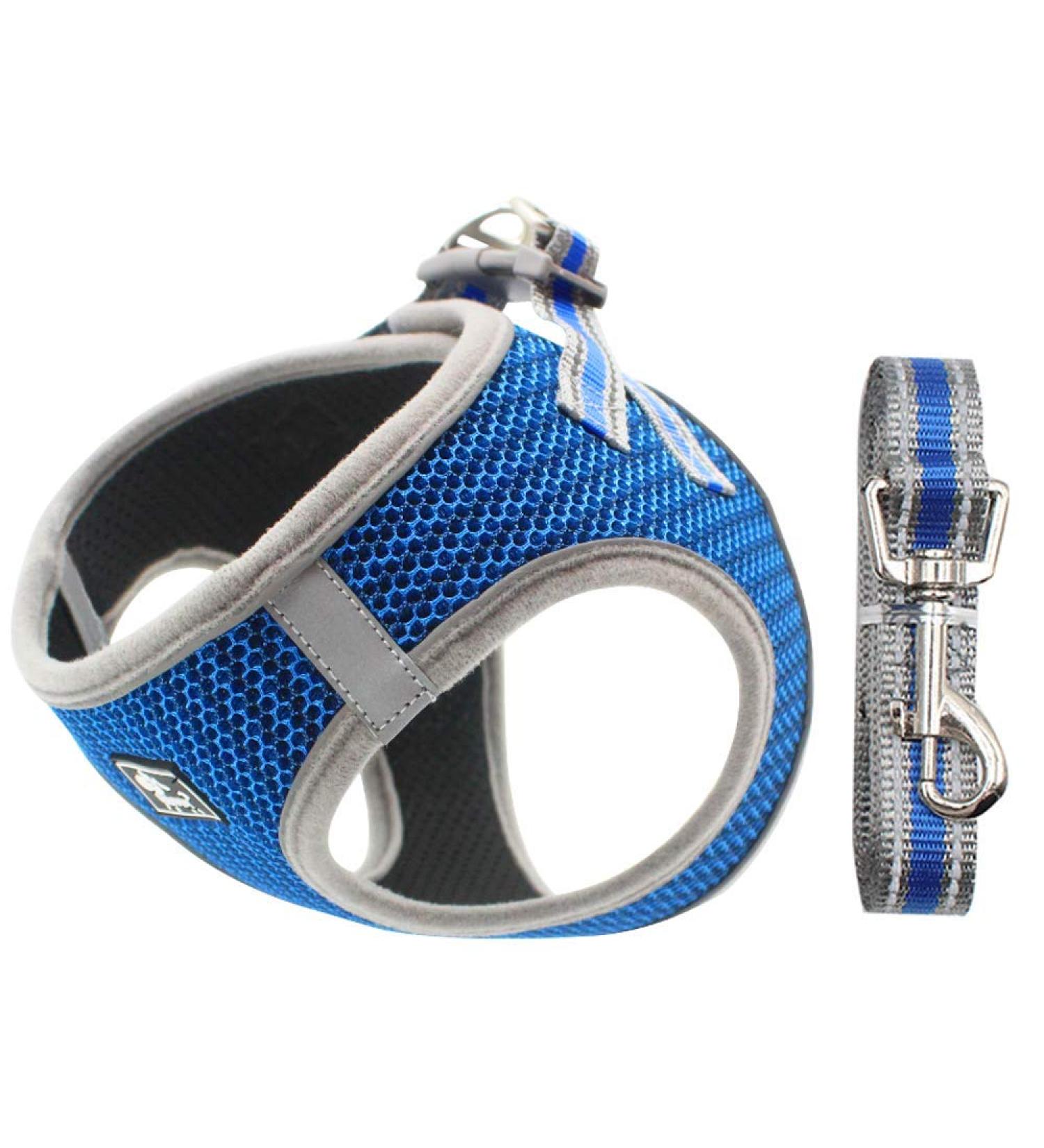 Small Dogs No Pull Harness | Reflective Breathable Mesh | Step-In Vest with Leash | Adjustable for Walking & Training | Blue - Buy Online on GoSupps.com