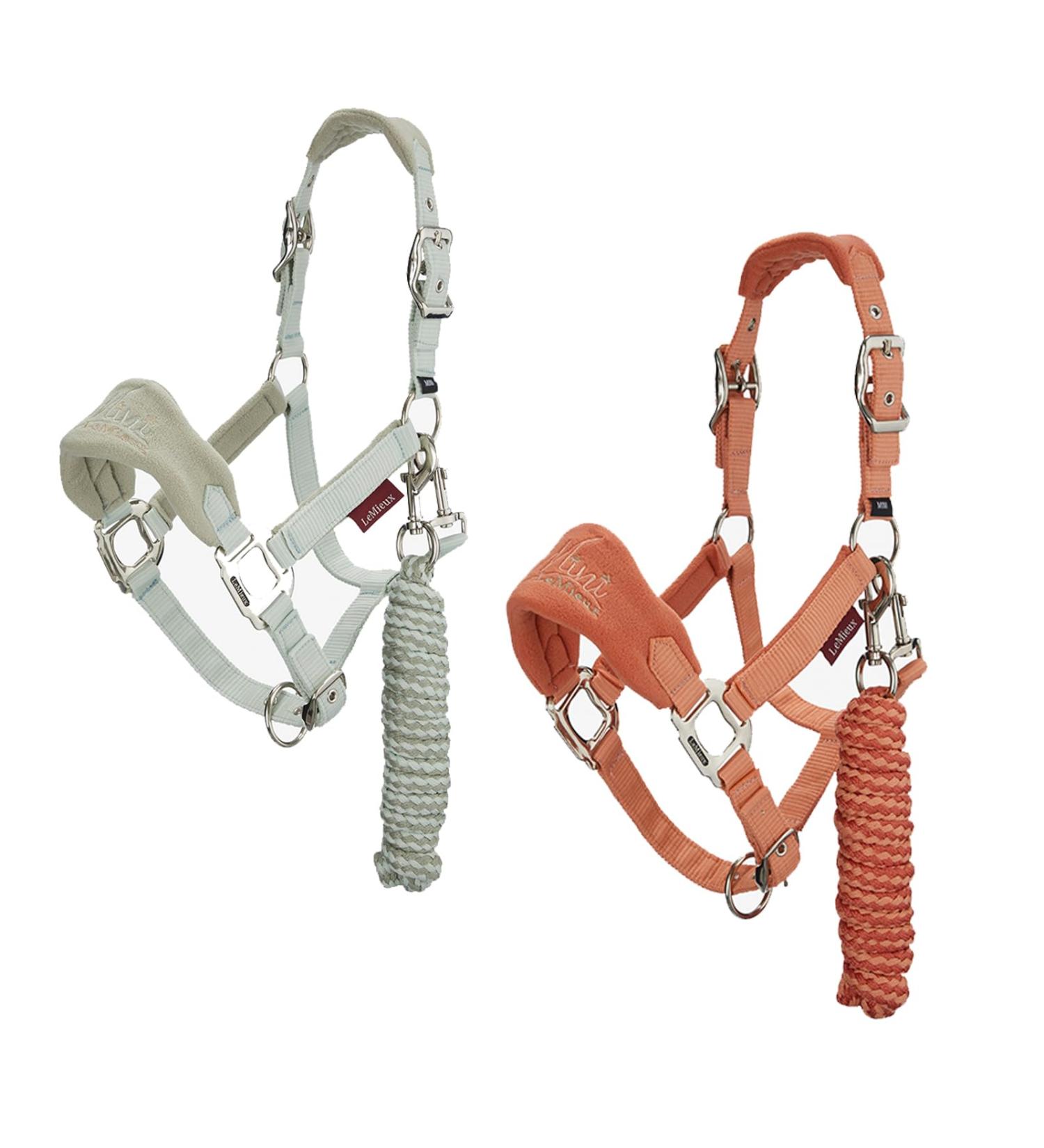 LeMieux Mini Vogue Headcollar In Fern Or Apricot IT04191/2 Mini Fern - Buy Online on GoSupps.com