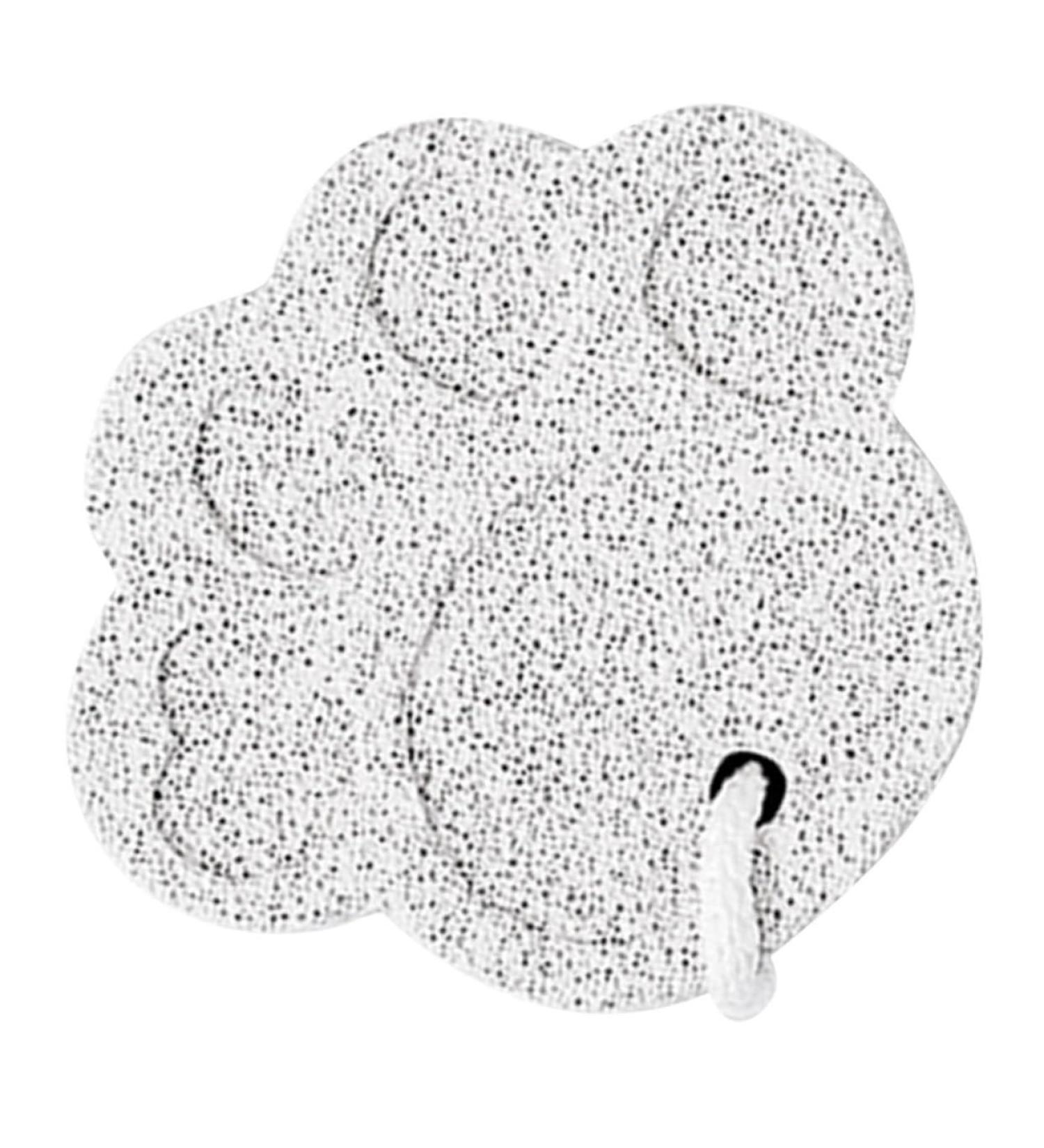 Beavorty Volcanic Pumice Stone Feet Scrubber Pumice Stone for Pedicure Pumice Stone Feet File Pumice Stone for Feet Pumice Stone Pedicure Tool Clean Pumice Stone Cat Paw Foot - Buy Online on GoSupps.com