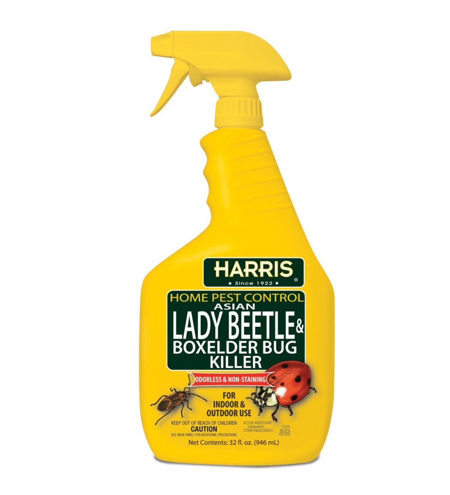 Harris 32oz Asian Lady Beetle & Box Elder Killer Liquid Spray - Odorless, Non-Staining Extended Residual Formula - Buy Online on GoSupps.com