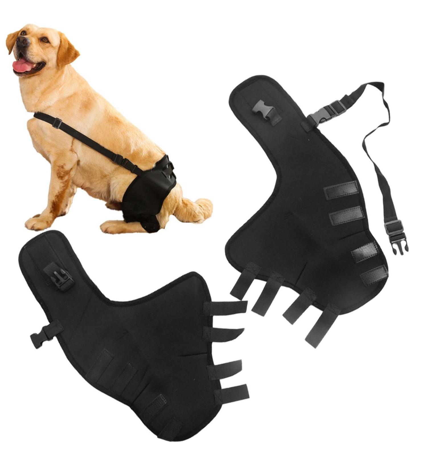 WOBBLO Recovery for Dogs | Knee Brace for Rear Leg Pet Leg Wounds Protector Hip Joint Support Protects Wounds for Small Dogs - Buy Online on GoSupps.com