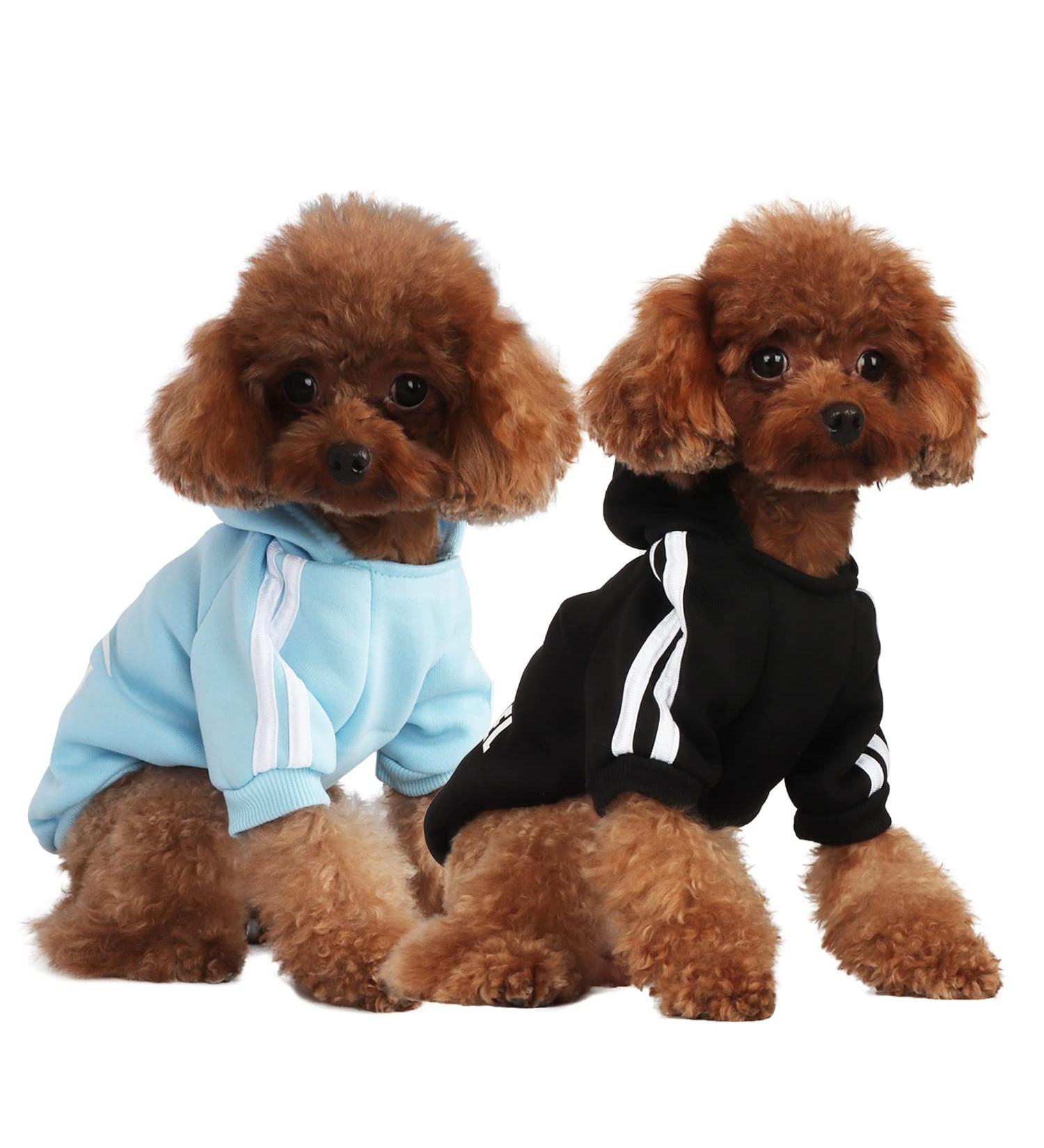 Fashion Dog Hoodie - Cotton Sweatshirt for Small & Medium Dogs - Stylish Streetwear Outfit (Black/Light Blue XL) - International Shipping Available - Buy Online on GoSupps.com