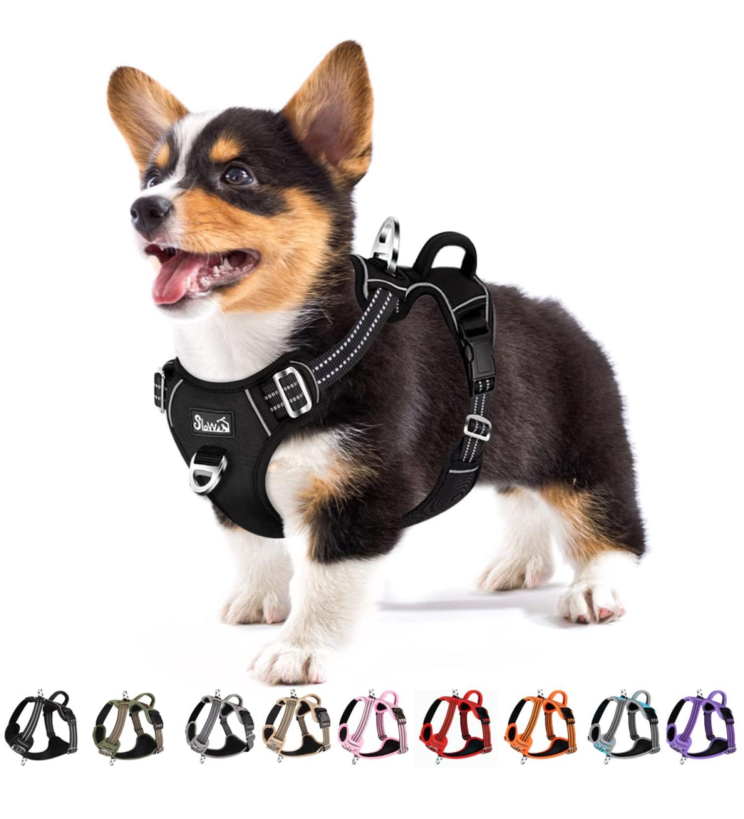 Eyin Adjustable Dog Harness for Small Dogs - Breathable Reflective Padded with Handle & Front Bracket - Perfect for Daily Training (Black Size S) - Buy Online on GoSupps.com