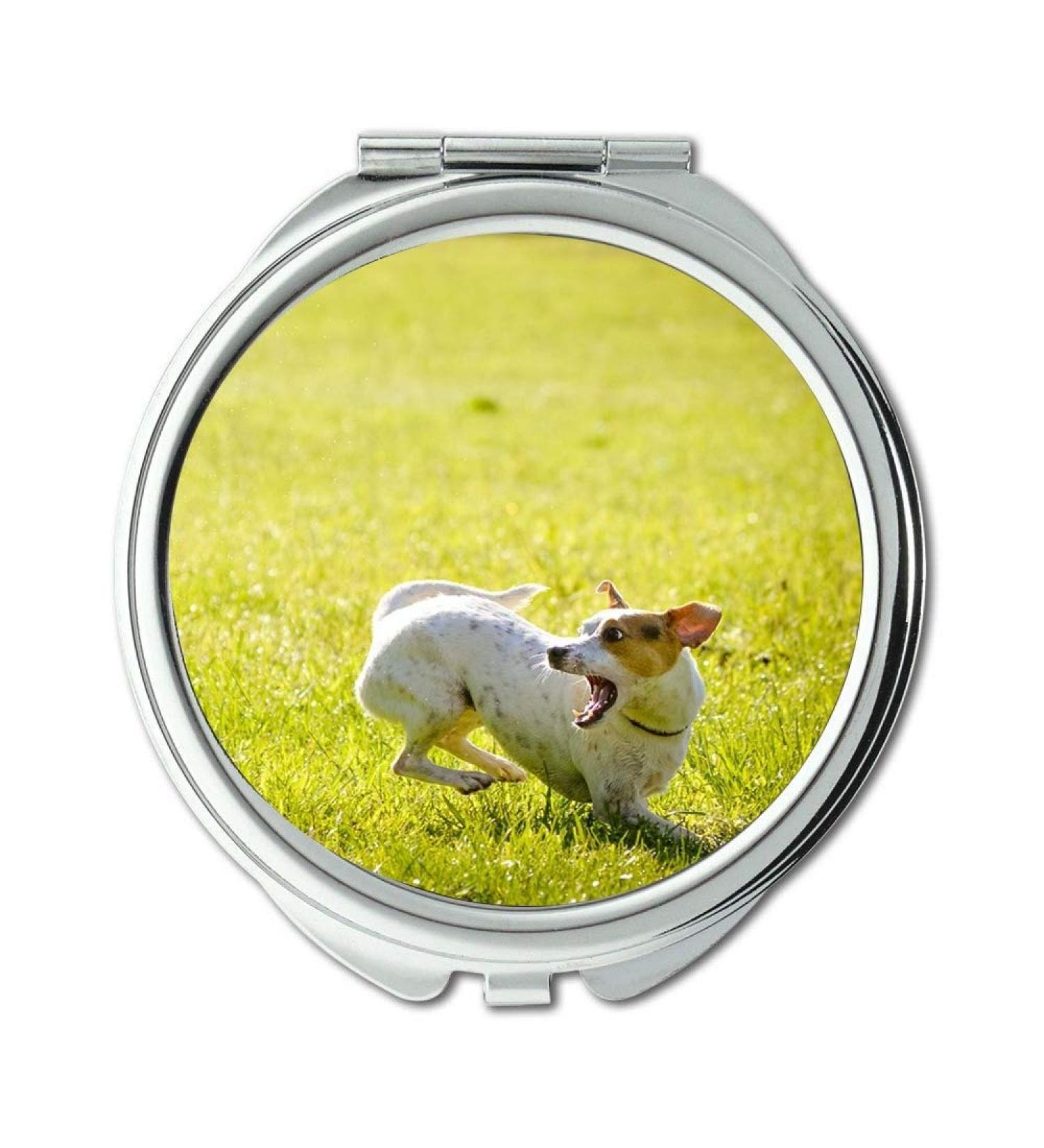 YENDOSTEEN Mirror Travel Mirror Dog Action Hunt Ball Pocket Mirror portable mirror - Buy Online on GoSupps.com