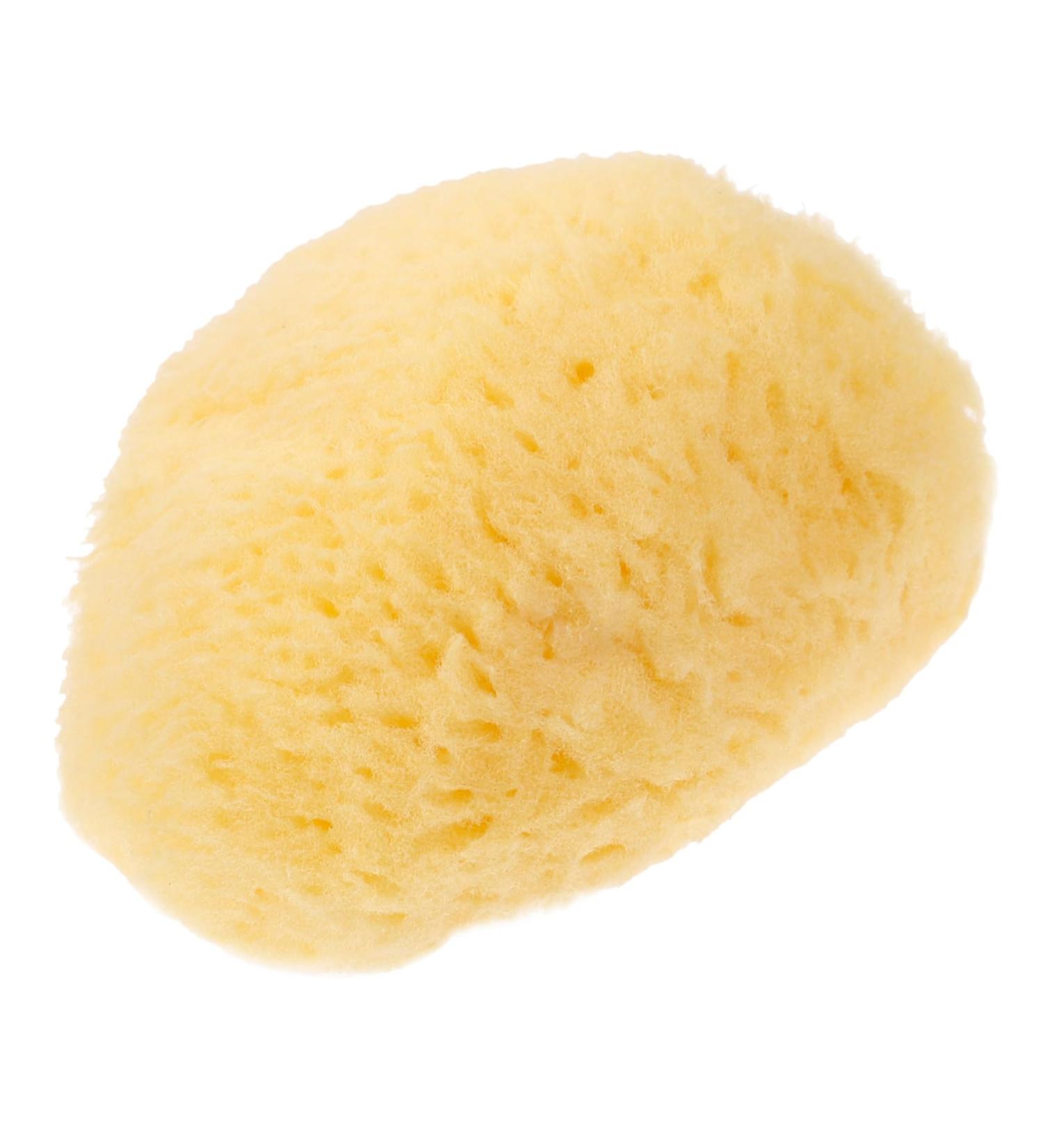 minkissy Natural Sponge Greece Facial Sponges Face Sponges for Cleansing Facial Cleansing Sponge Cleansing Sponges for Face Sponges for Face Cleansing Face Scrubber Washbasin Major - Buy Online on GoSupps.com