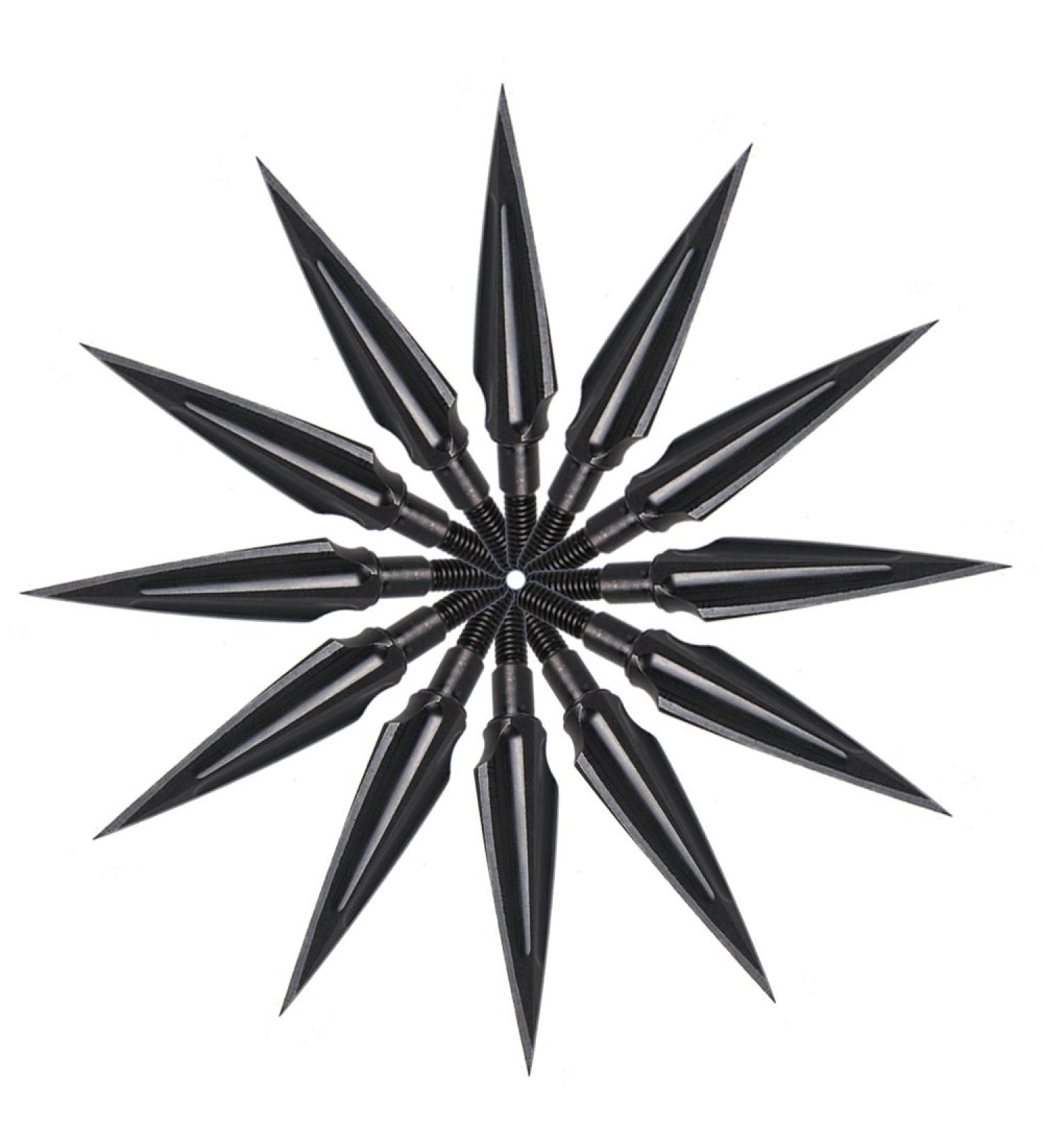 Huntingdoor Traditional Broadheads 12Pcs - Screw-in Solid Metal Archery Arrow Tips - TYPE 3 120Grain - Buy Online on GoSupps.com
