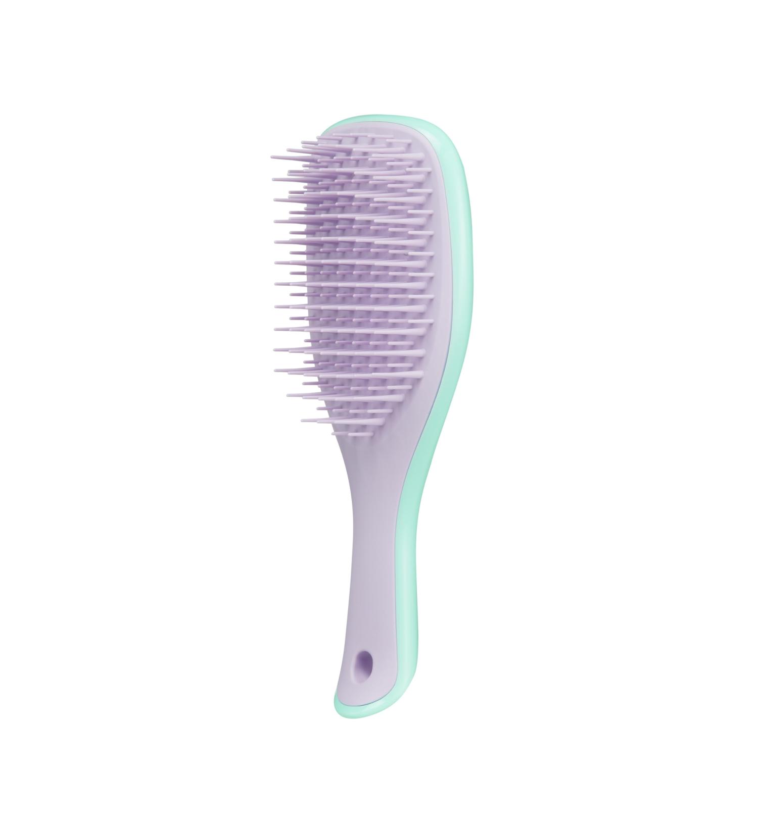 Tangle Teezer Mini Detangler Hairbrush - Gentle on Wet Hair, Two-Tiered Teeth, Ideal for Kids & Travel - Reduces Knots & Breakage | Wisteria Leaf - Buy Online on GoSupps.com