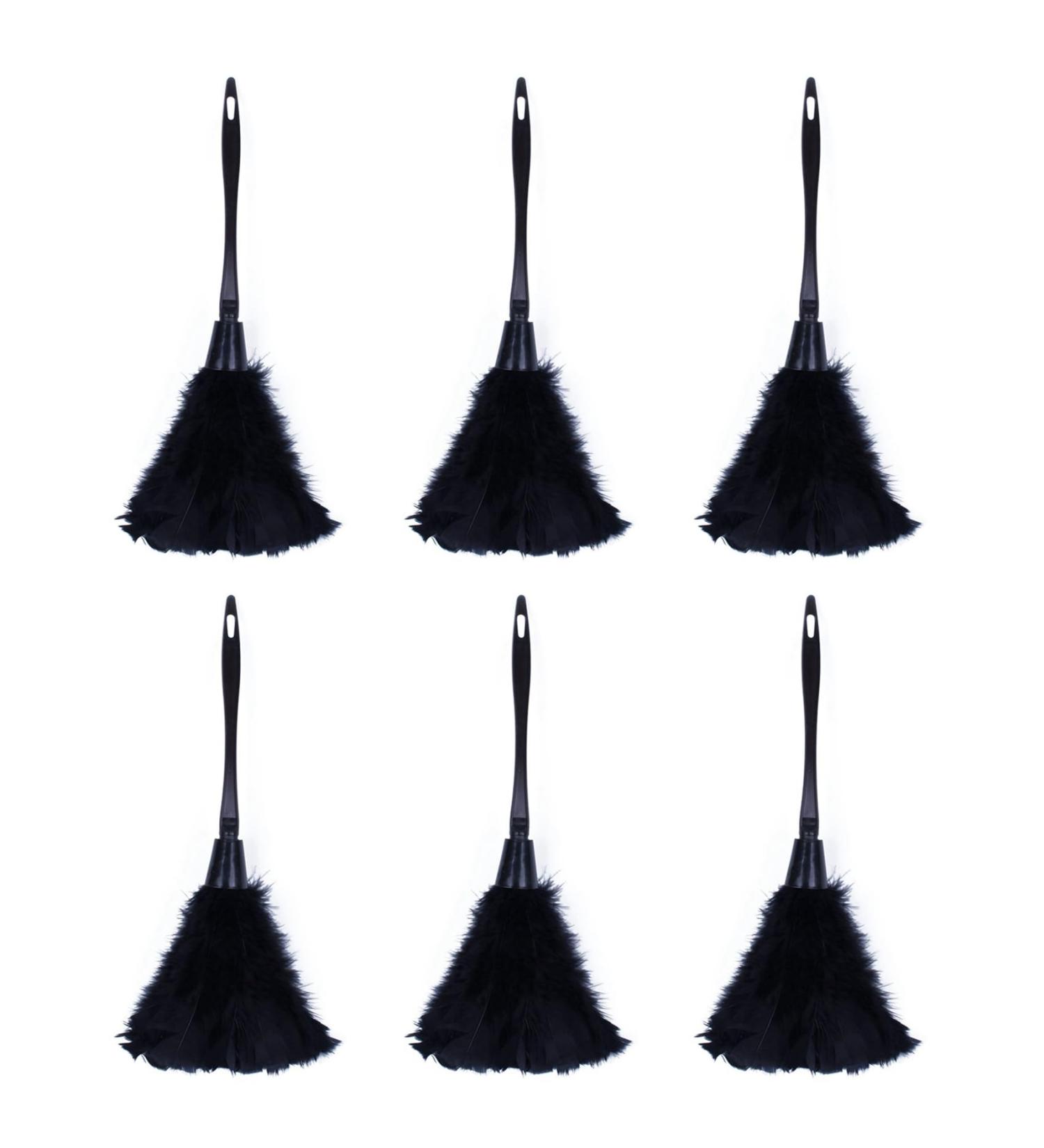 BTuregsau 6pc Fashion Turkey Duster with Black Plastic Handle Cleaning Tool(Black) 35cm - Buy Online on GoSupps.com