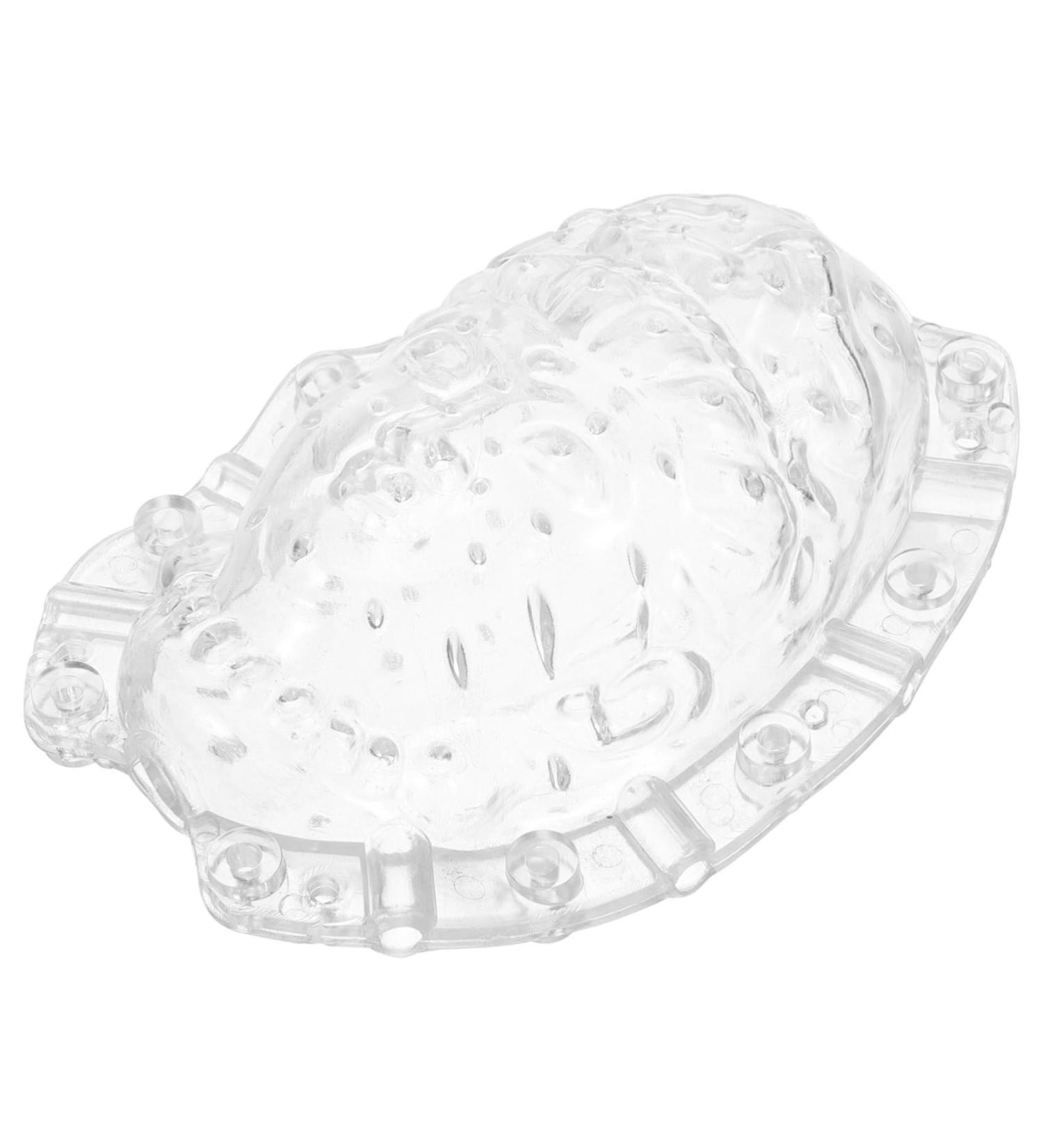 GANAZONO Fruits Forming Mould Vegetable Ginseng Vegetable Shaping Fruit Cucumber Fruits and Vegetables - Buy Online on GoSupps.com