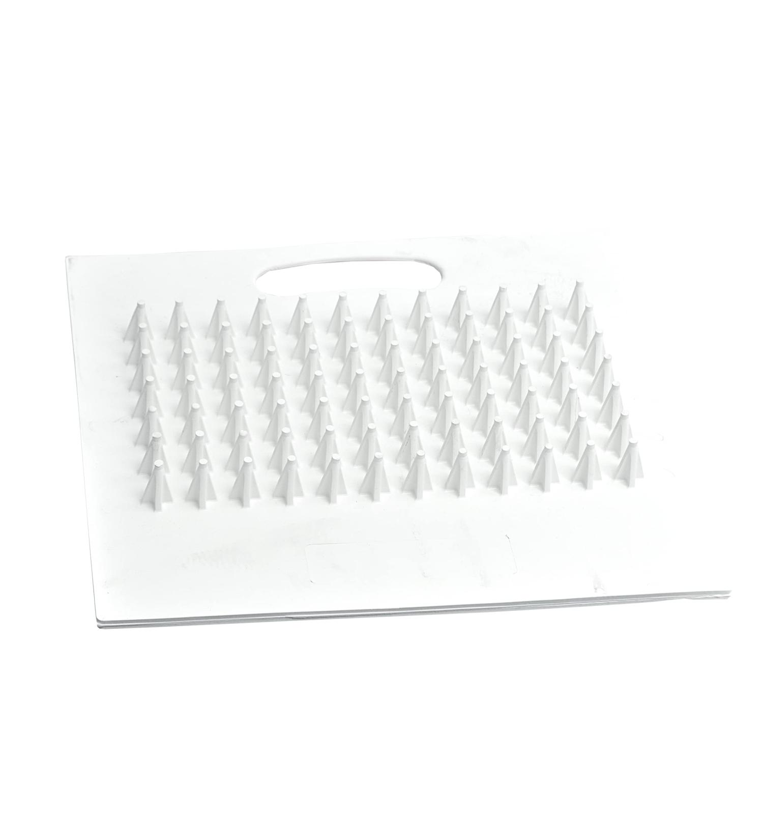 Champro Cleat Cleaner - White | Keep Your Cleats in Top Condition - Buy Online on GoSupps.com