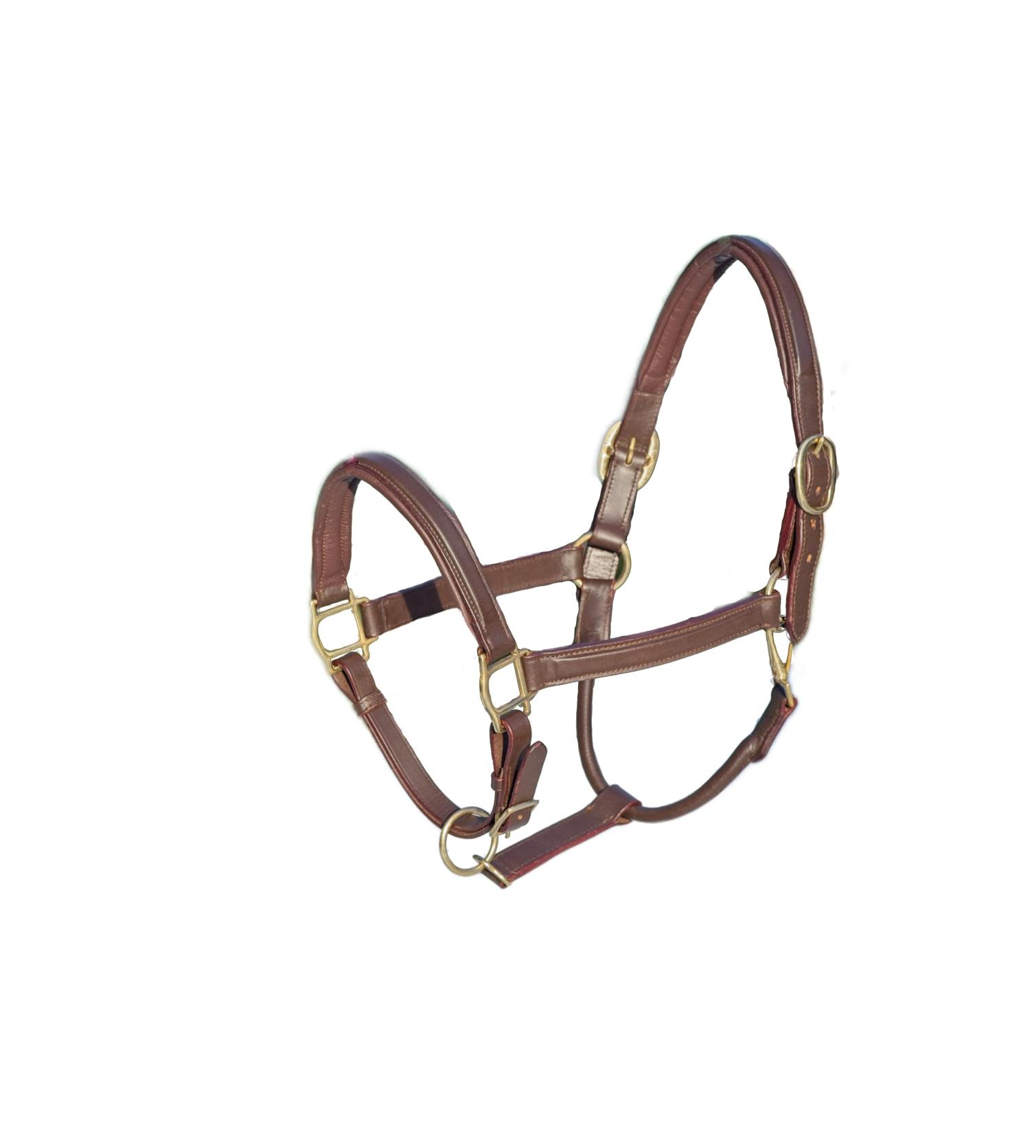 MiraQuine Leather Halter (VB/Cob Brown) VB/ Cob Brown