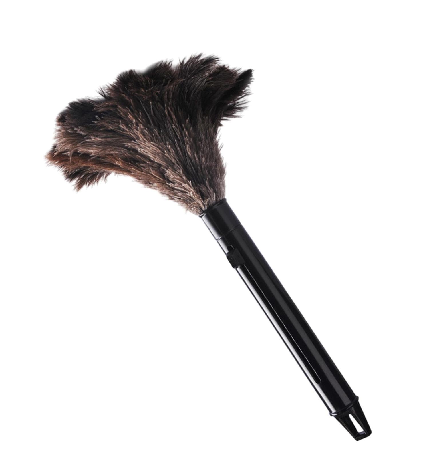 Besreey Duster for Cleaning Retractable Duster Portable | Car Duster Efficient Cleaning Easy-to-Use Cleaning Duster for Home - Buy Online on GoSupps.com