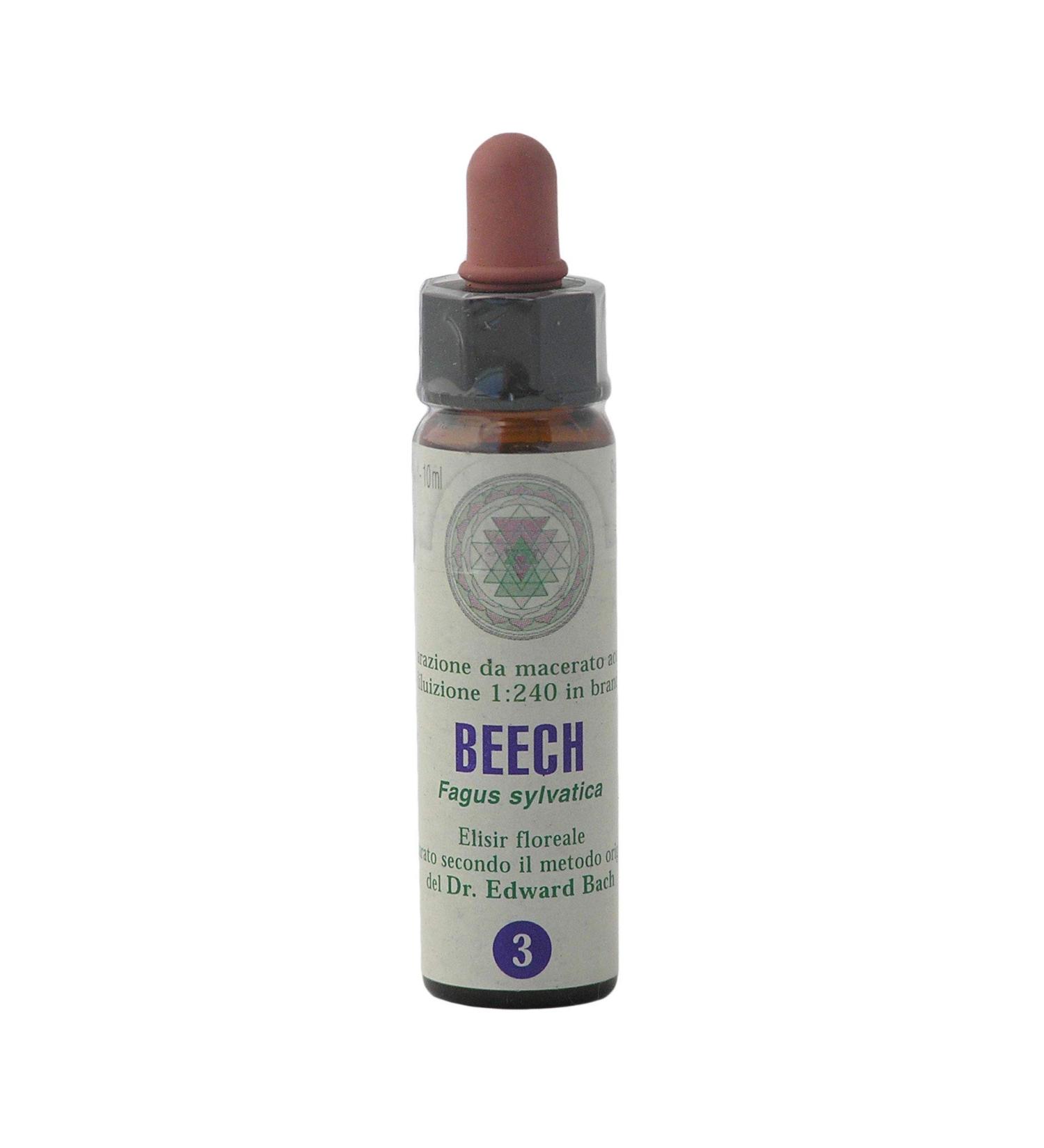 Buy Beech No. 3 Princeps Original Bach Flower Beech Drops 10ml - Authentic Bach Flower Remedies for Emotional Wellness - Buy Online on GoSupps.com