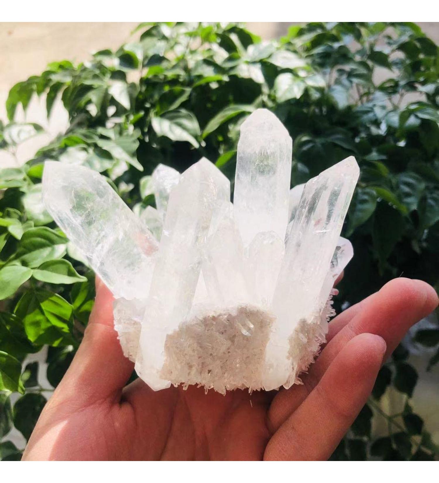 Room Decoration 350g-900g Natural Clear Quartz Stone White Crystal Cluster 1pc (Color : 1pc 710g-760g) - Buy Online on GoSupps.com