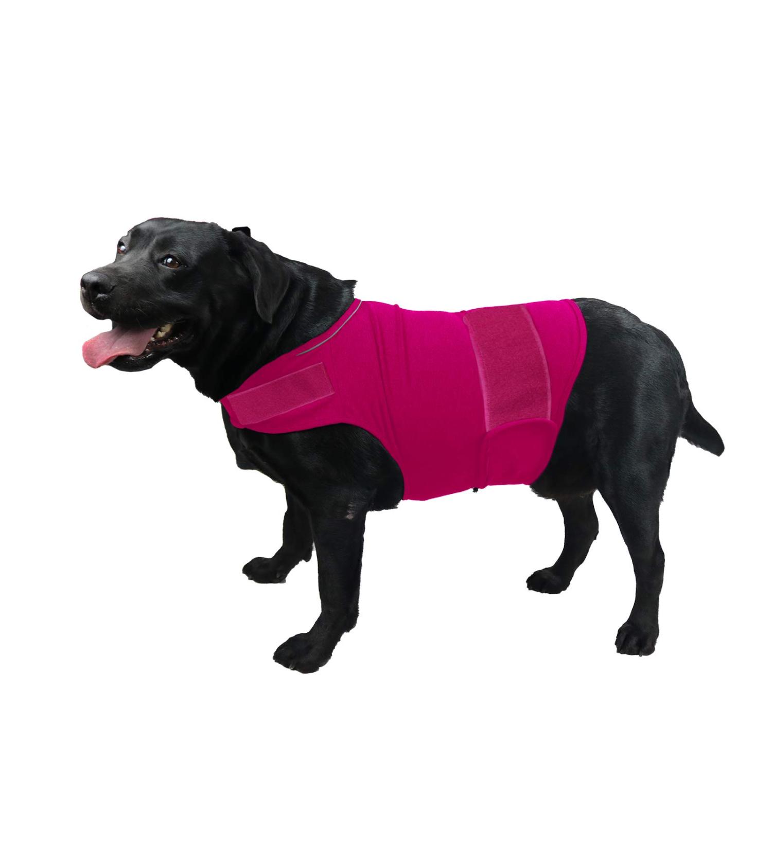 Buy Cattamao Comfortable Dog Coat - Soothing Anxiety Vest for XS to XL - Thunder Shirt Jacket in Rose - International Shipping - Buy Online on GoSupps.com