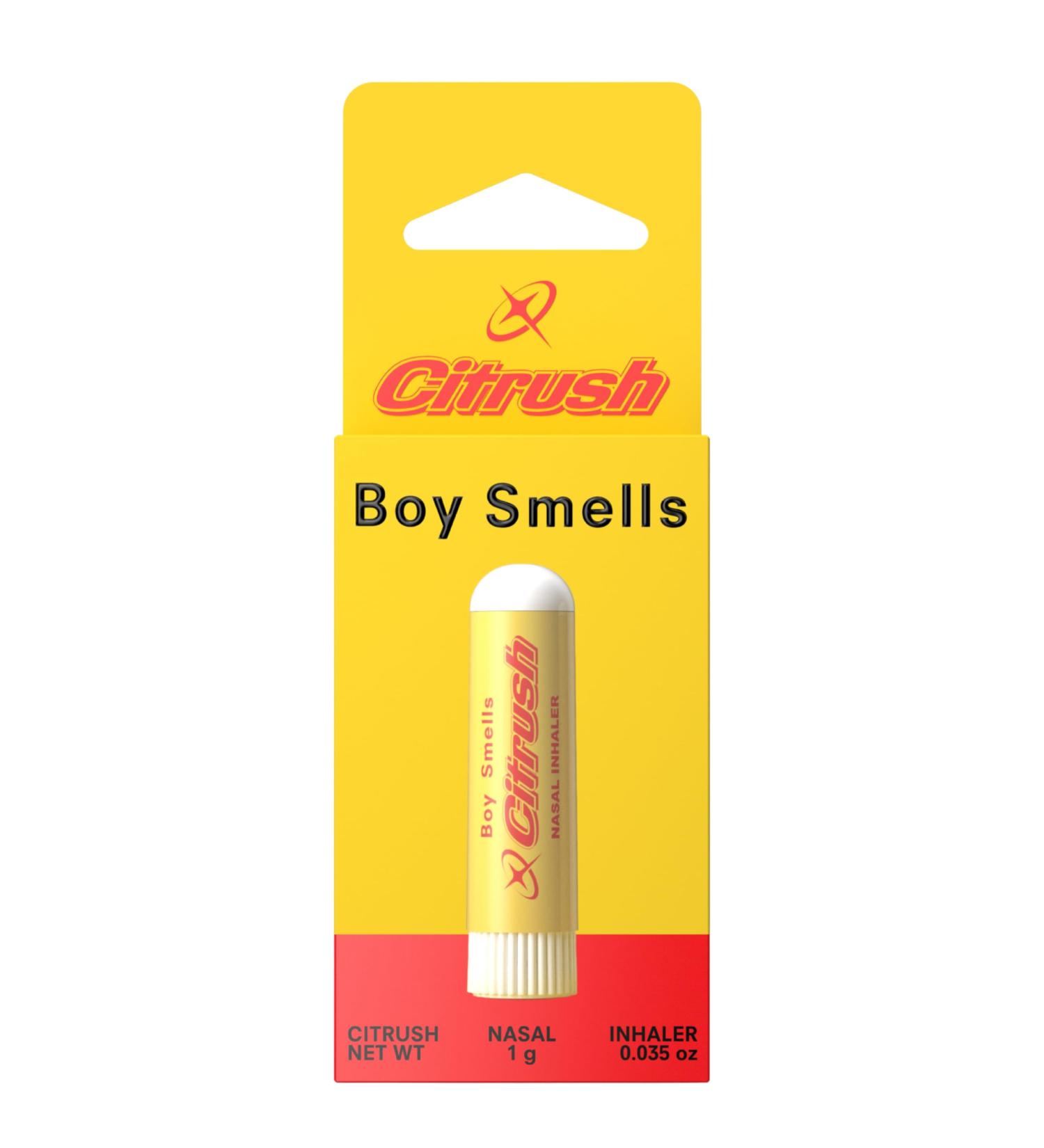 Boy Smells Citrus Sniffer Nasal Stick Menthol Citrus Aroma Inhaler Plant-Based Scent Stick for Daily Refresh Aromatherapy Stick for Adults 1 Pack - Buy Online on GoSupps.com