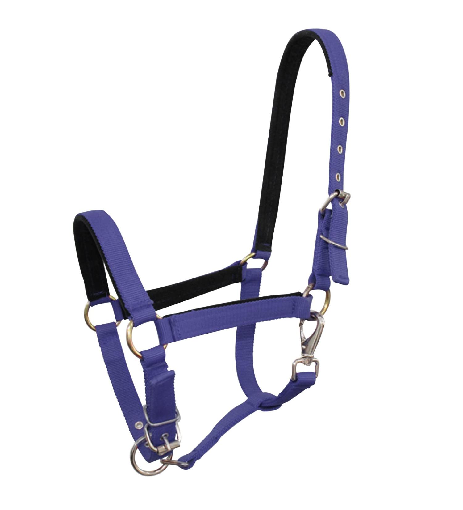 Meta Title: TrustBreech-HAltes Large Navy Blue | Premium Equestrian Riding Breeches - Buy Online on GoSupps.com