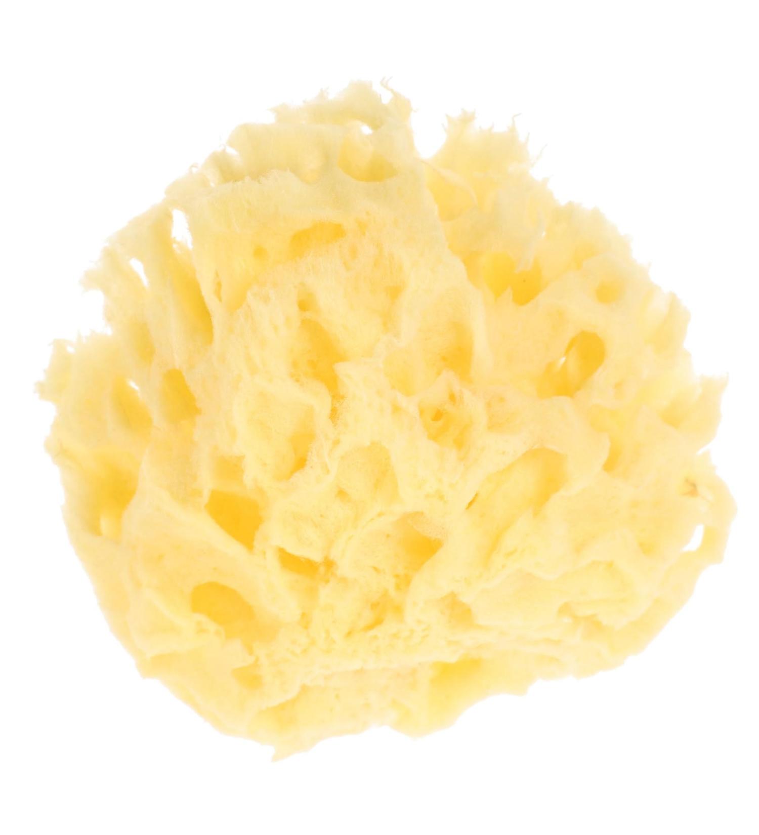 MUSISALY Moisturizer for Body Bath for Bathing Shower Sponge for Body Bathing Sponge Body Shower for Bath for Shower Sponge Shower - Buy Online on GoSupps.com