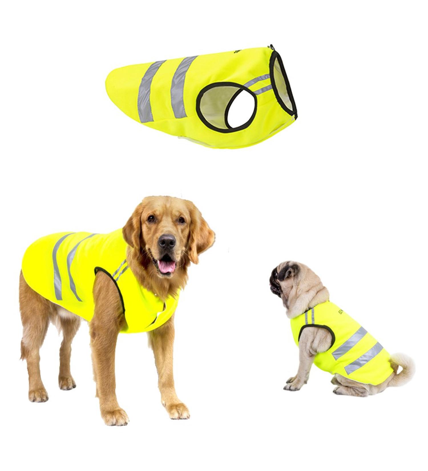 ALAMP Reflective Safety Vest for Dogs | Orange Safety Dog Warning Vest | Enhance Pet Visibility - Buy Online on GoSupps.com