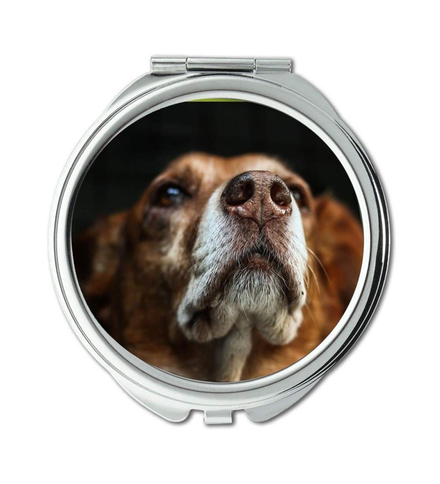YENDOSTEEN Mirror Compact Mirror Dog Brown Snout Fur Hybrid Animal Head Portrait pocket mirror portable mirror - Buy Online on GoSupps.com