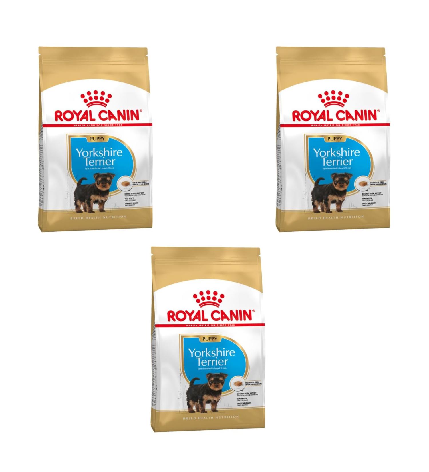 Royal Canin Yorkshire Terrier Puppy | Pack of 3 | 3 x 500 g | Dry food for Yorkshire Terrier puppies | for Immune system support | for a beautiful coat and healthy teeth - Buy Online on GoSupps.com