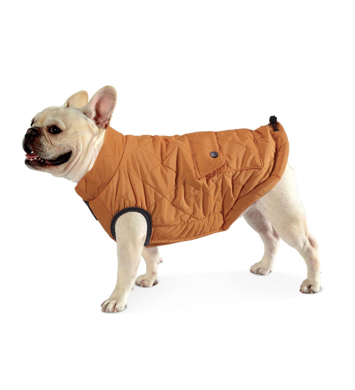 Docio Winter Dog Coat & Jacket for Small Dogs - Padded Orange Vest with Crawl Bag | 1 Pack - Buy Online on GoSupps.com
