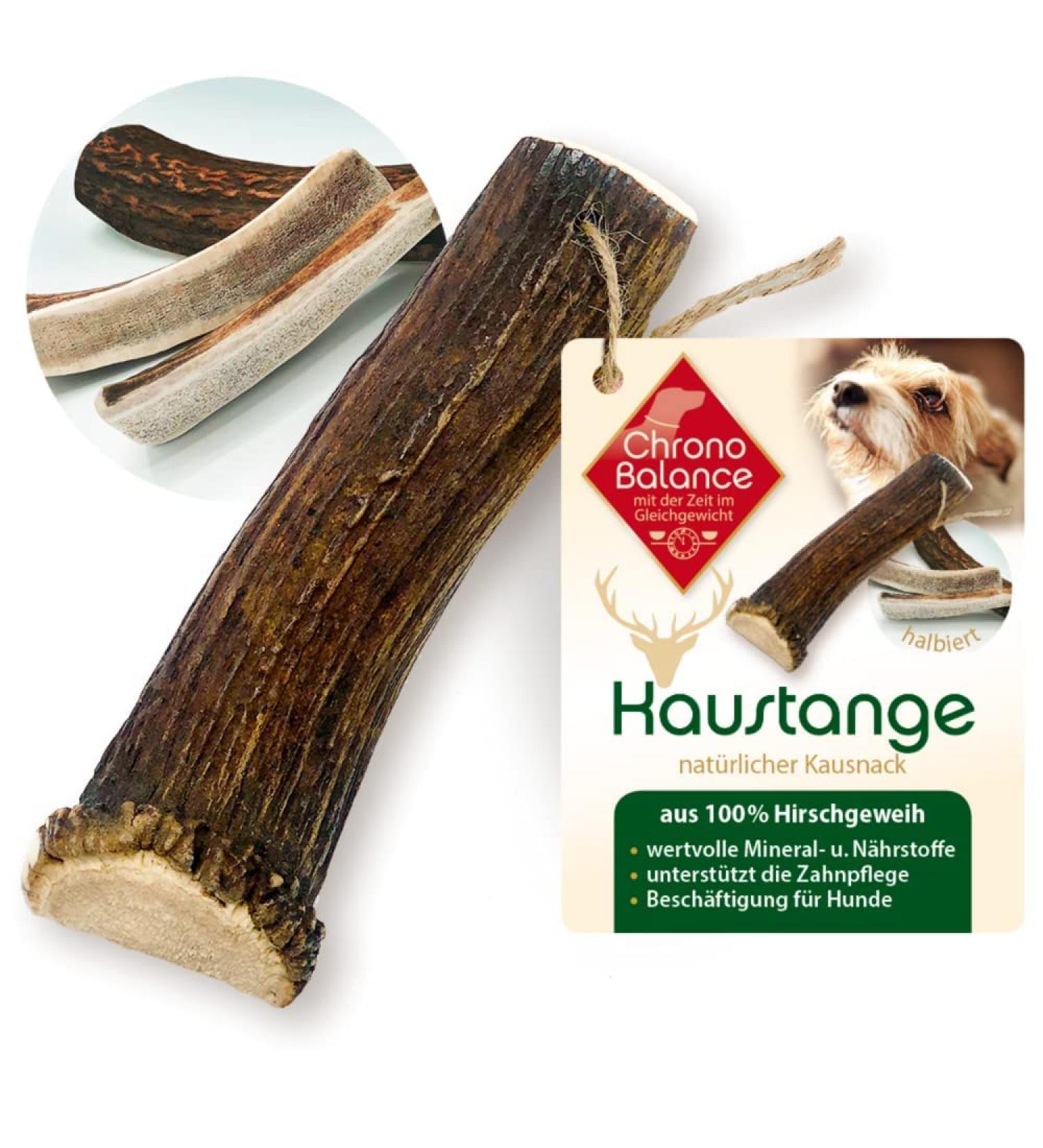 Chronobalance L Antlers Caustie for Dogs - Halved Dental Chew Toys 100% Deer Antler Sustainable Dog Bones for Dental Hygiene - 1 Piece - Buy Online on GoSupps.com