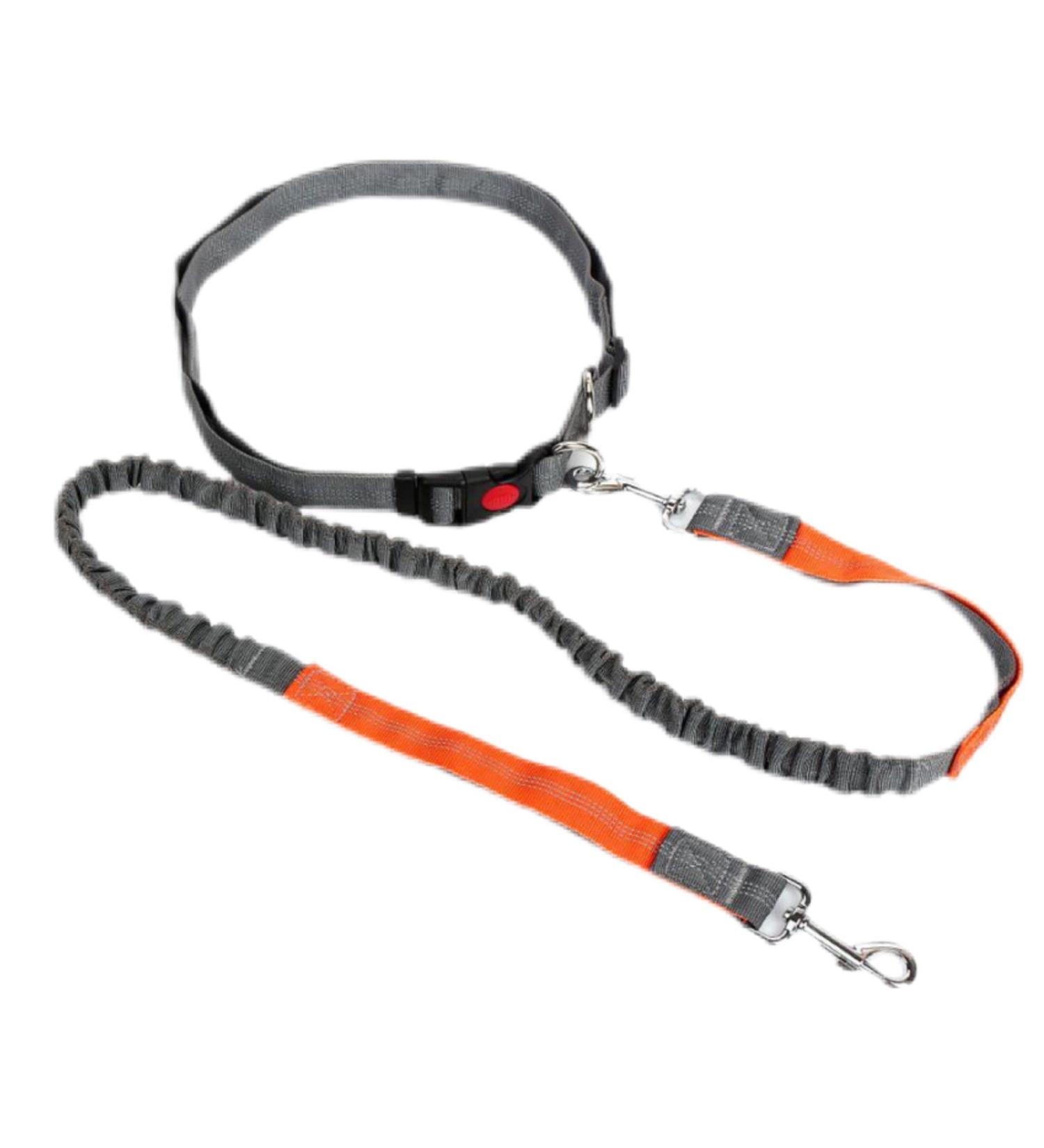 eBoutik Hands Free Dog Lead with Anti-Pull Bungee Leash - Ideal for Running, Cycling, and Walking - Adjustable Waist Belt - Orange - Buy Online on GoSupps.com