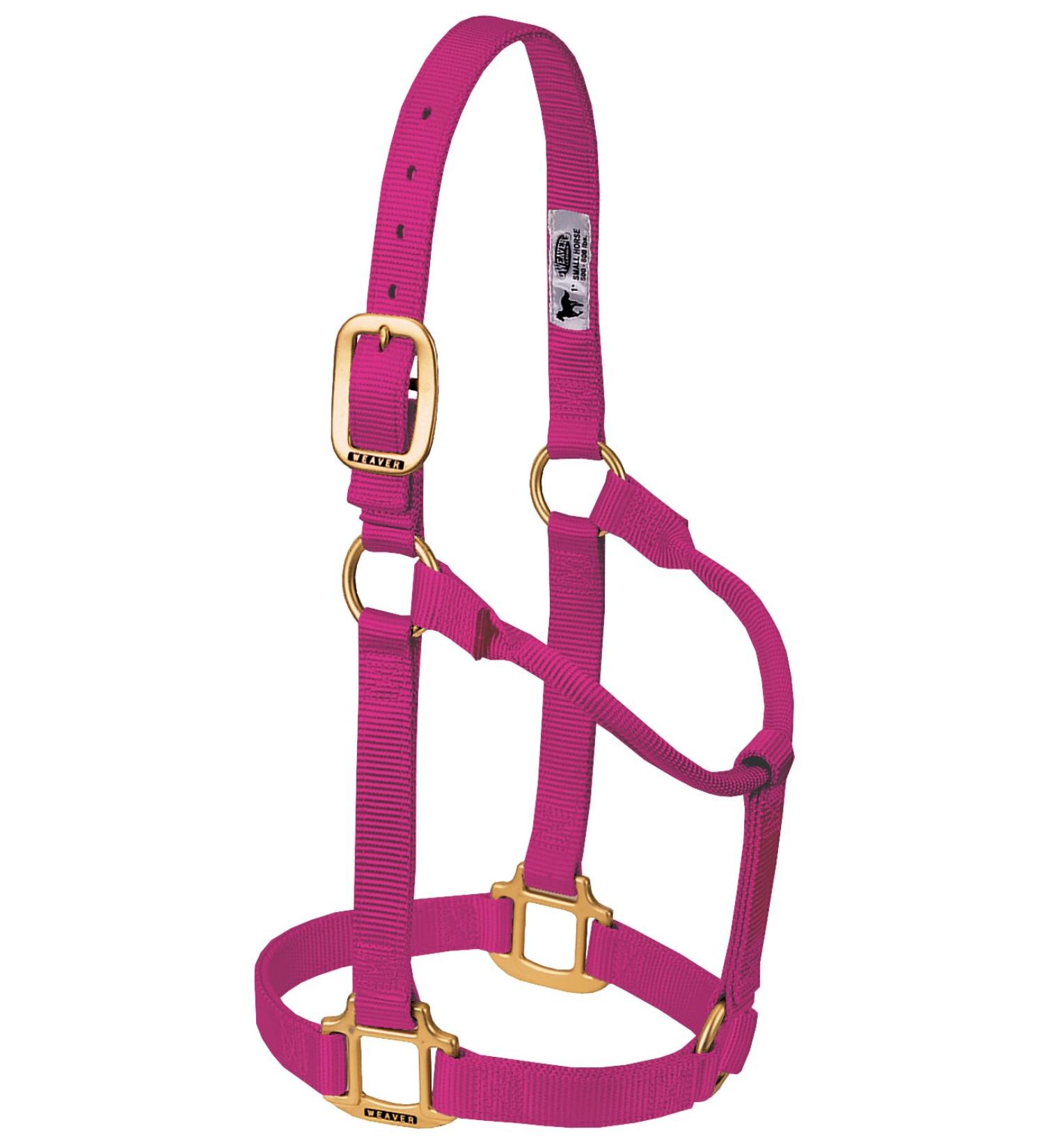 WEAVER Leather Non-adjustable halter raspberry Weanling/Pony