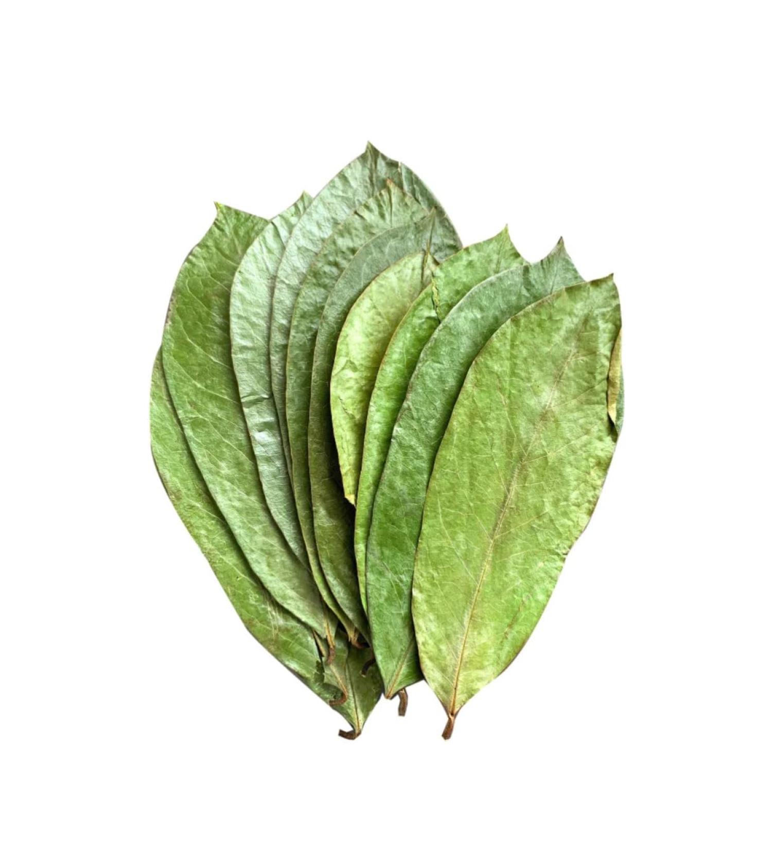 JAGGY Organic Soursop Leaves (400 Leaves) Dried Whole Natural Guanabana Graviola Guyabano Leaves - Buy Online on GoSupps.com