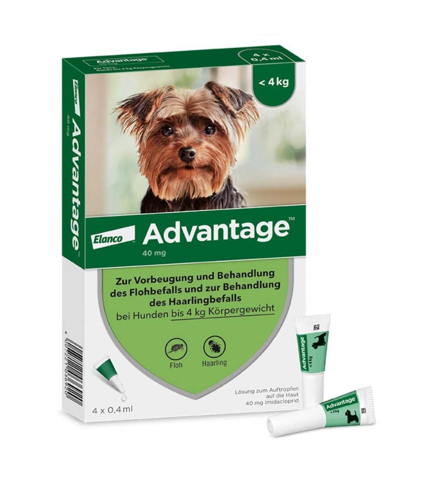 Elanco Advantage Spot-on 40 for Very Small Dogs - Quick Flea Control & Protection Up to 4 Weeks | 4 Pipets (0.4 ml) - Buy Online on GoSupps.com