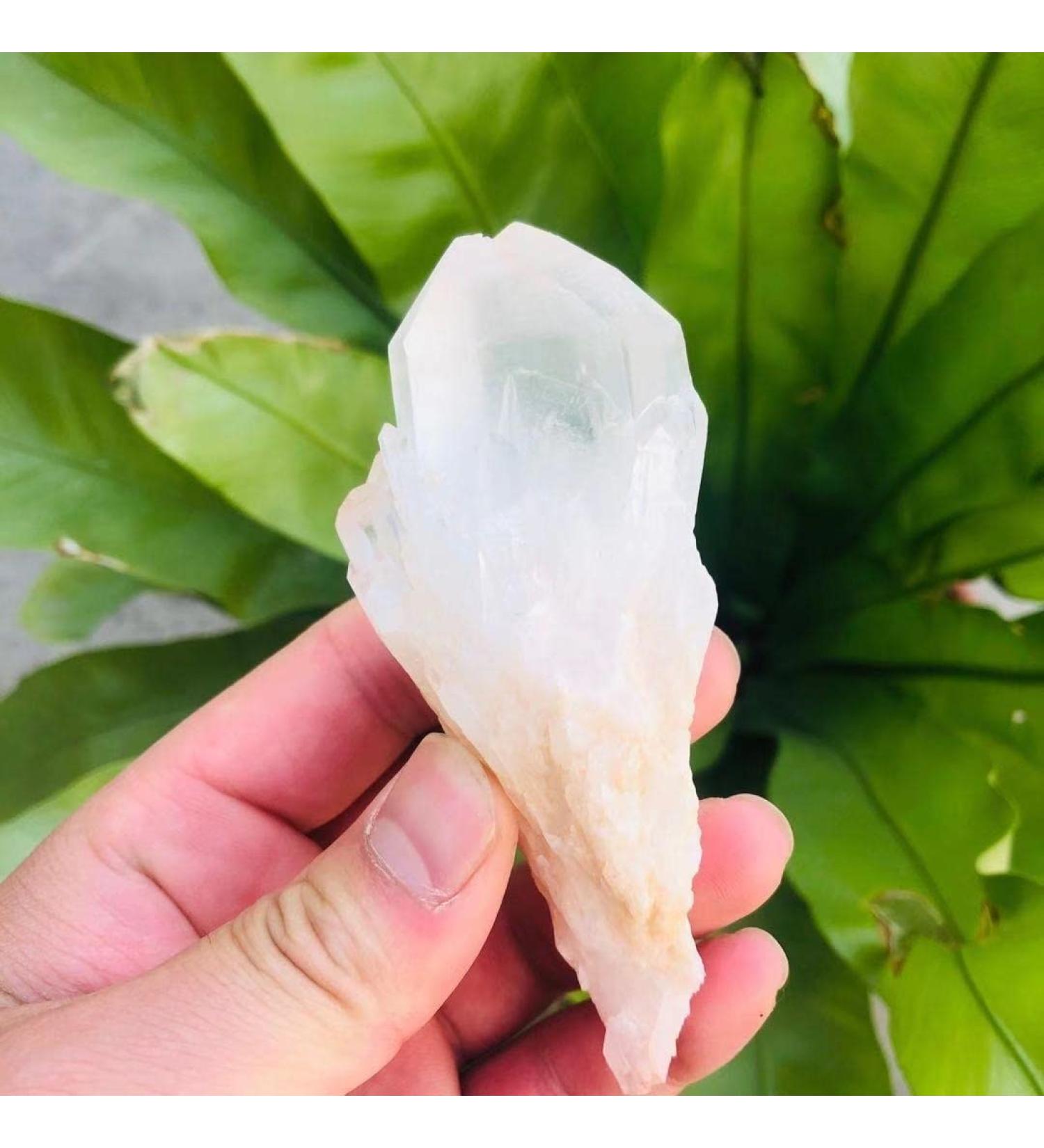 90g-180g Natural Crystal Cluster Skeleton Flower Stone 1pc HOMEZHOU (Color : 1pc 130g-150g) - Buy Online on GoSupps.com