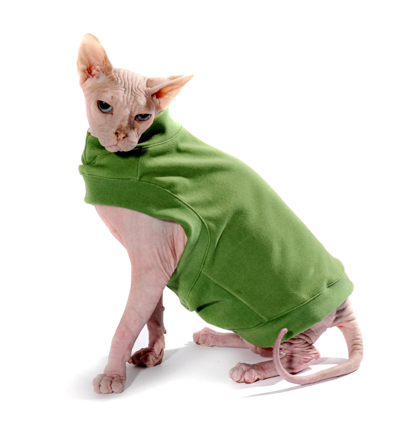 Caracaleap Soft & Warm Dog Sweater | Cozy T-Shirt for Small Dogs & Cats - Perfect Winter/Spring Clothing - Buy Online on GoSupps.com