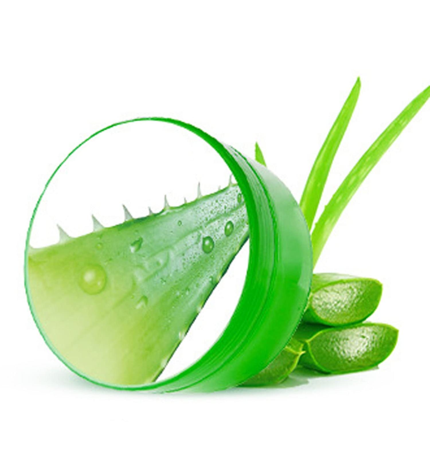 Qukaim Skin Care Aloe Vera Gel Aloe Vera Gel Hydrating Soothing Cream 10.6oz for Home Beauty Salon - Buy Online on GoSupps.com