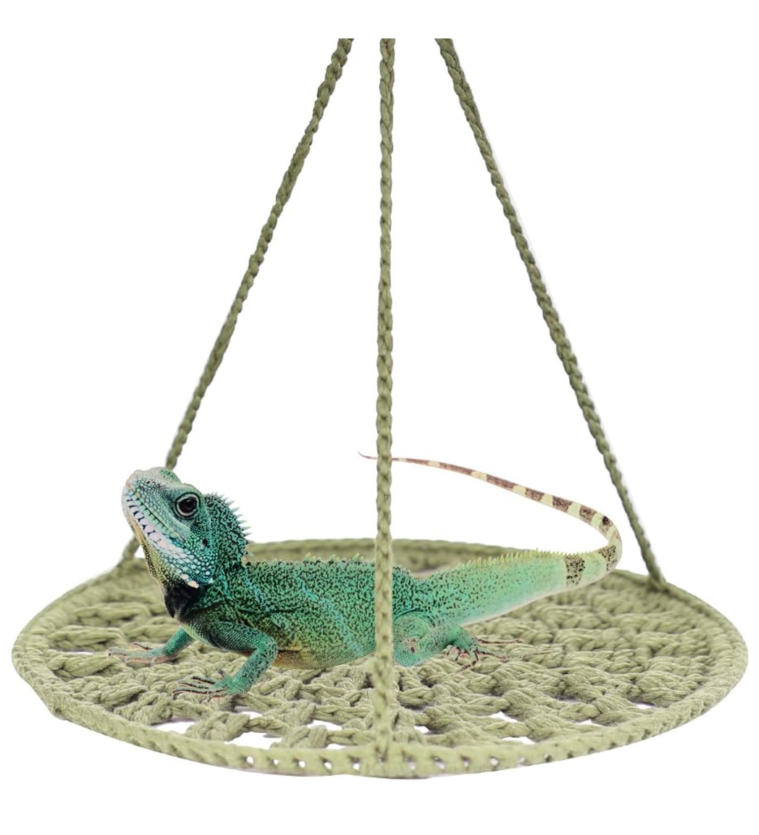 Interfashioner Reptile Hammock Small Animal Hammock Swing for Bearded Dragon Birds Guinea Pig Reptile Resting Bed (S Dark Green) S Dark Green - Buy Online on GoSupps.com