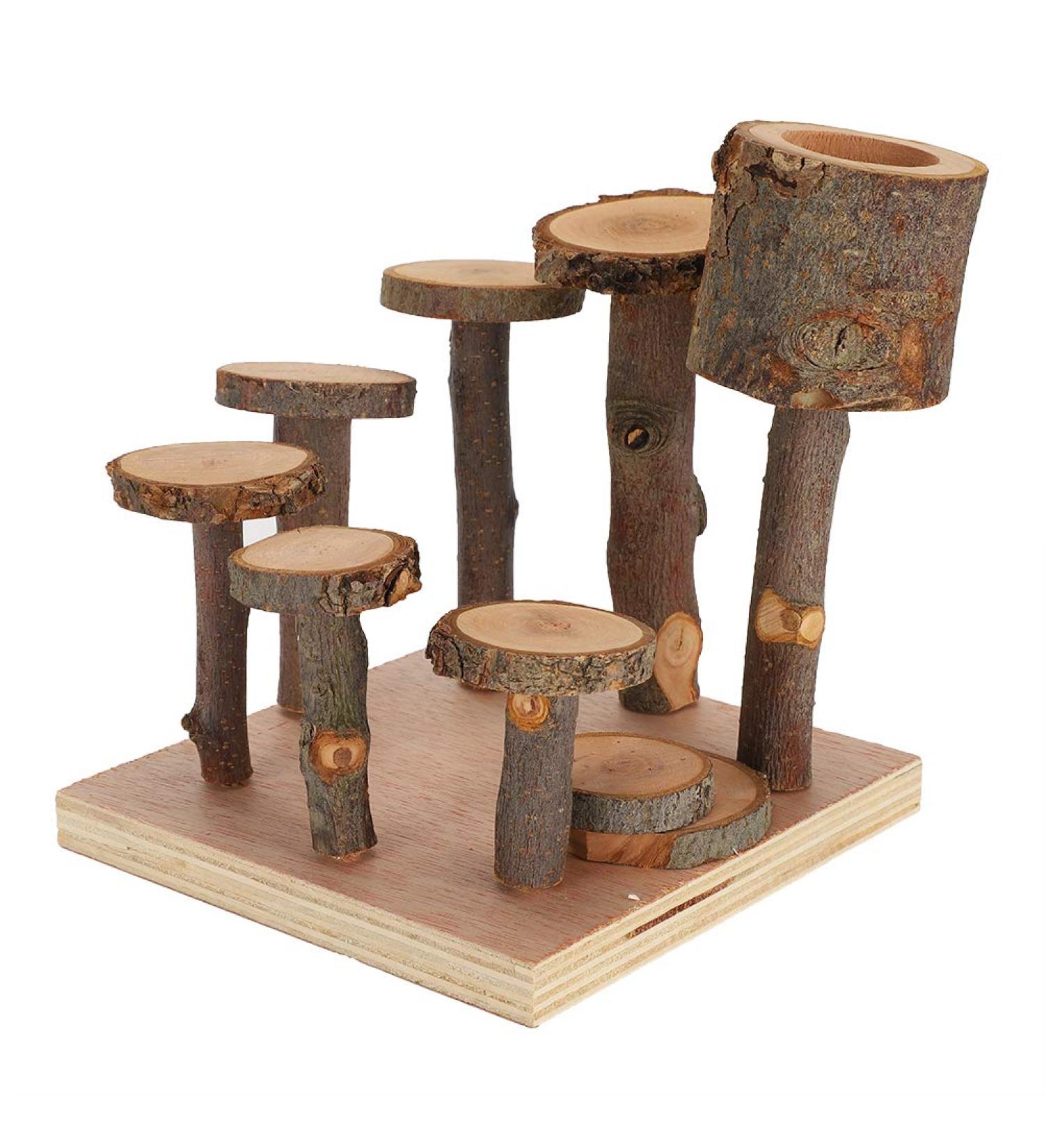 Nikou Hamster Toys Platforms Ladder Exercise Stairs Small Pet Climbing Ladder Step Eco-Friendly Fitness Exercise Feeder Chew Toy Not Easy To Fall For Hamster(S) - Buy Online on GoSupps.com