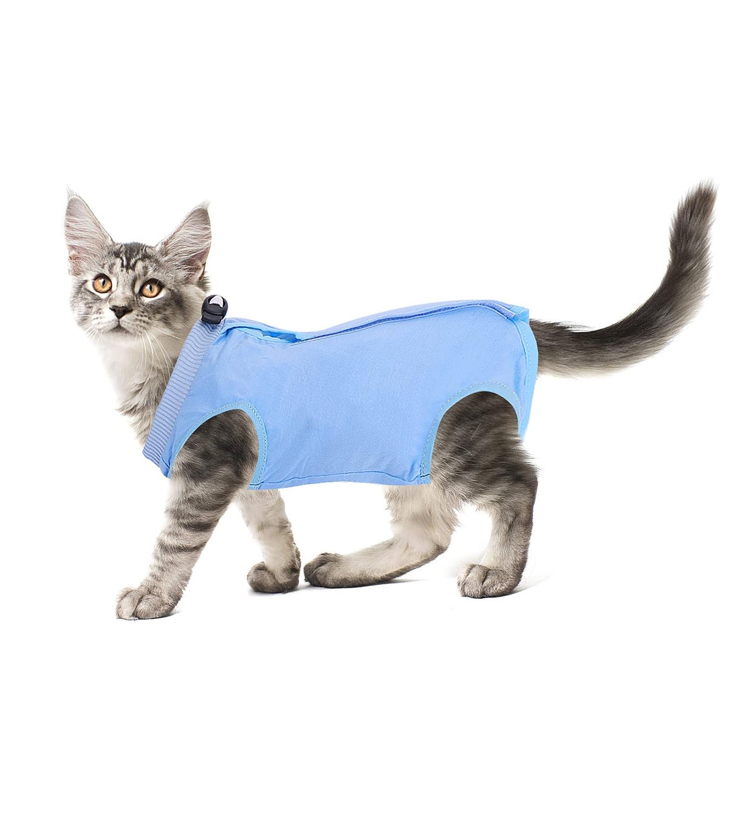 Cobee Professional Recovery Suit for Cats & Kittens | Abdominal Wound & Skin Disease Solution | Surgery Recovery & E-Collar Alternative (Size S Blue) - Buy Online on GoSupps.com