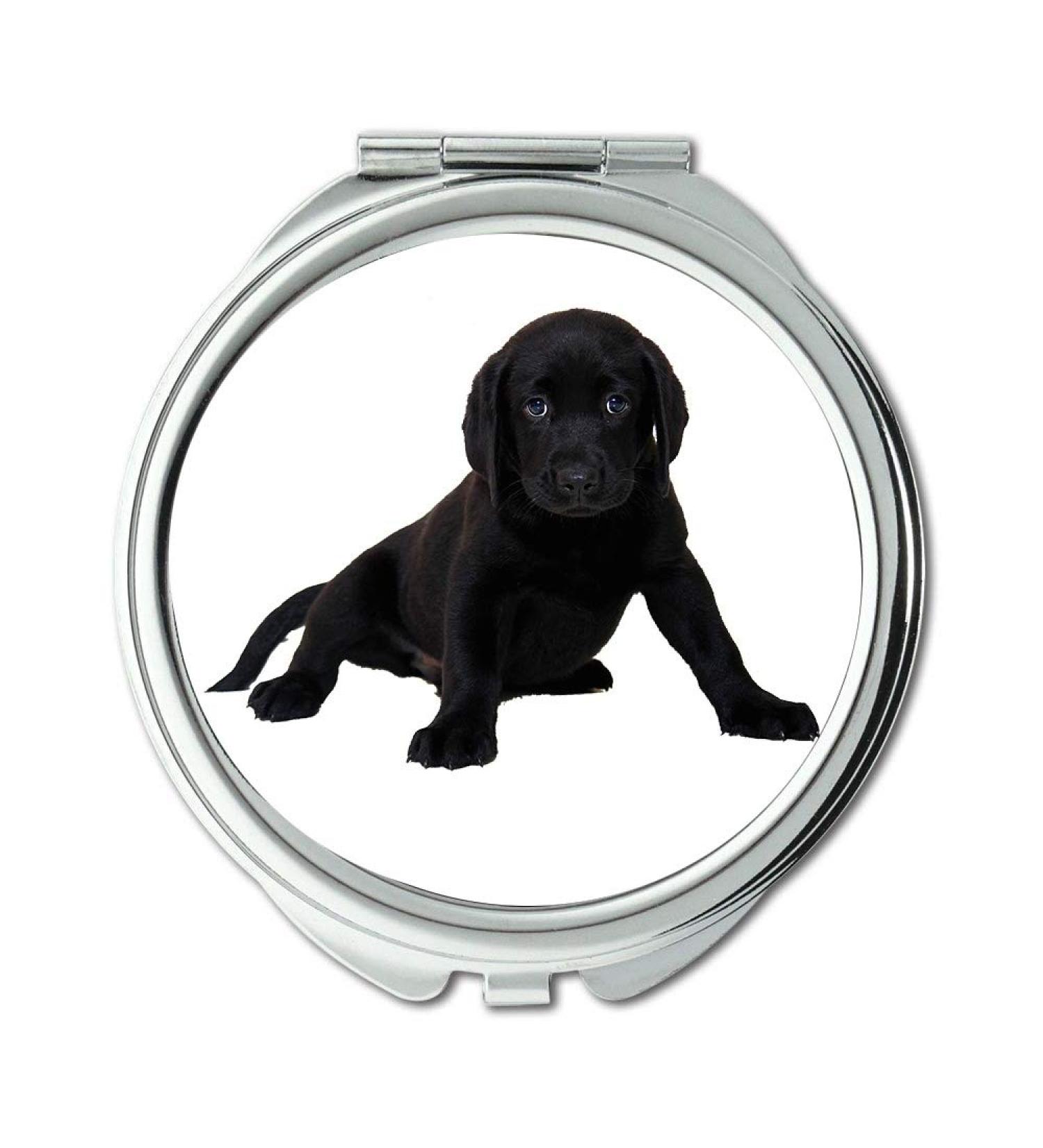 Mirror Compact Mirror Isolated Labrador Dog Animal Purebred Dog Puppy Pocket Mirror portable mirror - Buy Online on GoSupps.com