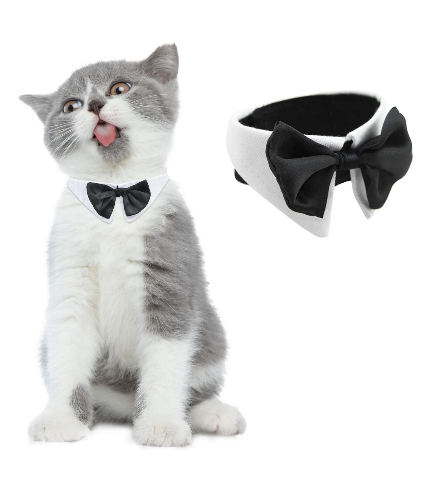 HACRAHO Formal Dog Bow Tie - White Adjustable Pet Bow Tie Collar for Weddings & Birthdays | Perfect for Small Dogs & Cats (Size SS) - Buy Online on GoSupps.com