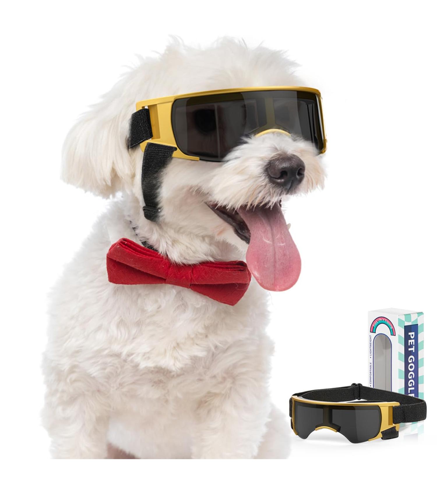Lewondr UV Safety Sunglasses for Dogs | Windproof Waterproof & Adjustable Glasses for Small Dogs - Black & Gold - Buy Online on GoSupps.com